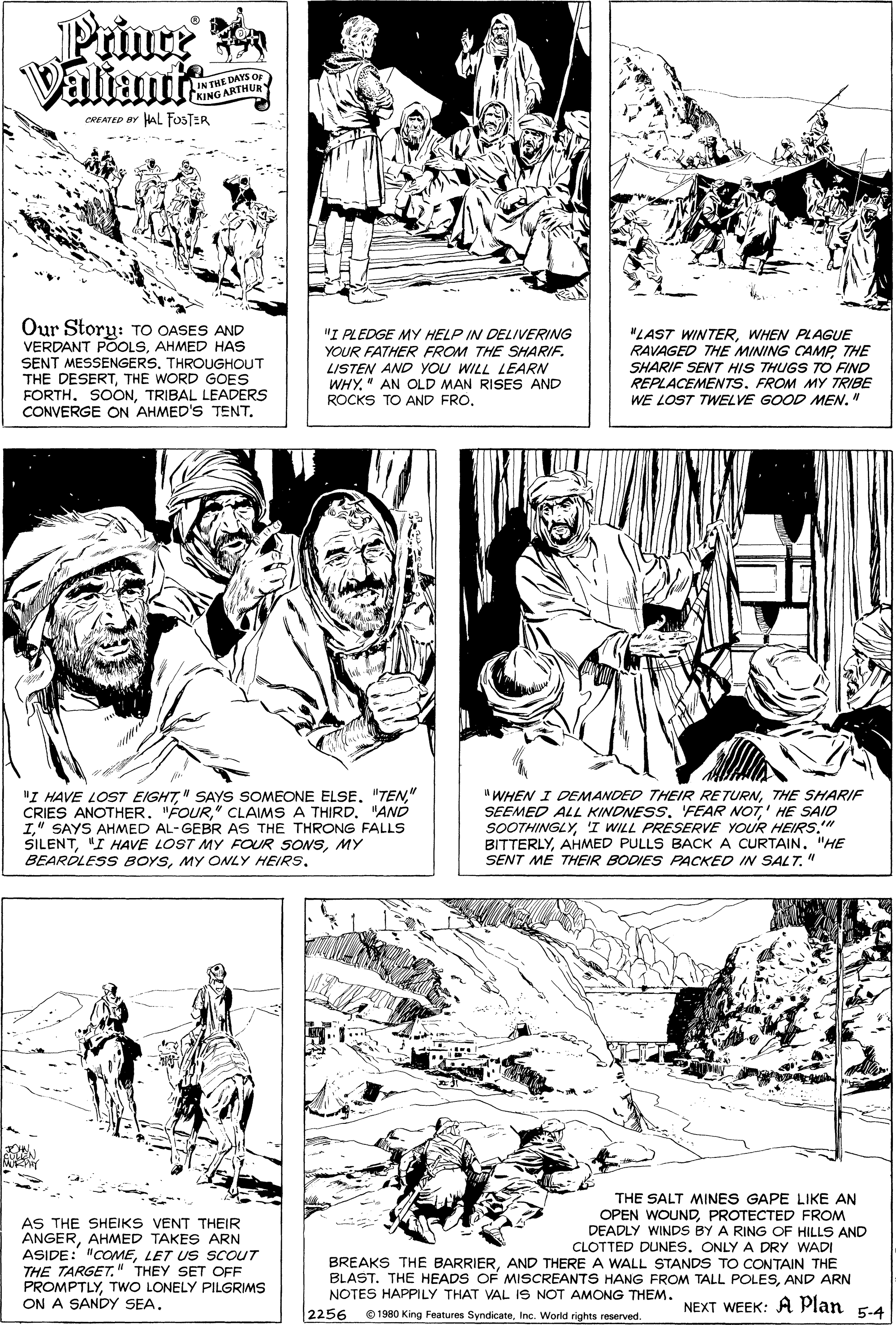 Art OCR: Prince Valiants THE DAYS Op KING ARTHUR CREATED BY HAL FOSTER Our Story: TO OASES AND VERDANT POOLSAHMED HAS SENT MESSENGERS. THROUGHOUT THE DESERTTHE WORD GOES FORTH. SOONTRIBAL LEADERS CONVERGE ON AHMED'S TENT. "I PLEDGE MY HELP IN DELIVERING YOUR FATHER FROM THE SHARIF. LISTEN AND YOU WILL LEARN WHY." AN OLD MAN RISES AND ROCKS TO AND FROWHEN PLAGUE RAVAGED THE MINING CAMPTHE SHARIF SENT HIS THUGS TO FIND REPLACEMENTS. FROM MY TRIBE WE LOST TWELVE GOOD MEN." "I HAVE LOST EIGHT" CRIES ANOTHER. "FOUR" CLAIMS A THIRD. "AND 1" SAYS AHMED AL-GEBR AS THE THRONG FALLS SILENTMY BEAROLESS BOYSMY ONLY HEIRS. "WHEN I DEMANDED THEIR RETURNTHE SHARIF SEEMED ALL KINDNESS. 'FEAR NOT' HE SAID SOOTHINGLY'I WILL PRESERVE YOUR HEIRS." BITTERLYAHMED PULLS BACK A CURTAIN. "HE SENT ME THEIR BODIES PACKED IN SALT." AS THE SHEIKS VENT THEIR ANGERAHMED TAKES ARN ASIDE: "COMELET US SCOUT THE TARGET." THEY SET OFF PROMPTLYTWO LONELY PILGRIMS ON A SANDY SEA. THE SALT MINES GAPE LIKE AN OPEN WOUNDPROTECTED FROM DEADLY WINDS BY A RING OF HILLS AND CLOTTED DUNES. ONLY A DRY WADI BREAKS THE BARRIERAND THERE A WALL STANDS TO CONTAIN THE BLAST. THE HEADS OF MISCREANTS HANG FROM TALL POLESAND ARN NOTES HAPPILY THAT VAL IS NOT AMONG THEM. 2256 NEXT WEEK: A Plan 5-4 © 1980 King Features SyndicateInc. World rights reserved Prince Valiants THE DAYS Op KING ARTHUR CREATED BY HAL FOSTER Our Story: TO OASES AND VERDANT POOLSAHMED HAS SENT MESSENGERS. THROUGHOUT THE DESERTTHE WORD GOES FORTH. SOONTRIBAL LEADERS CONVERGE ON AHMED'S TENT. "I PLEDGE MY HELP IN DELIVERING YOUR FATHER FROM THE SHARIF. LISTEN AND YOU WILL LEARN WHY." AN OLD MAN RISES AND ROCKS TO AND FRO"LAST WINTERWHEN PLAGUE RAVAGED THE MINING CAMPTHE SHARIF SENT HIS THUGS TO FIND REPLACEMENTS. FROM MY TRIBE WE LOST TWELVE GOOD MEN." "I HAVE LOST EIGHT" SAYS SOMEONE ELSE. "TEN" CRIES ANOTHER. "FOUR" CLAIMS A THIRD. "AND 1" SAYS AHMED AL-GEBR AS THE THRONG FALLS SILENT"I HAVE LOST MY FOUR SONSMY BEAROLESS BOYSMY ONLY HEIRS. "WHEN I DEMANDED THEIR RETURNTHE SHARIF SEEMED ALL KINDNESS. 'FEAR NOT' HE SAID SOOTHINGLY'I WILL PRESERVE YOUR HEIRS." BITTERLYAHMED PULLS BACK A CURTAIN. "HE SENT ME THEIR BODIES PACKED IN SALT." AS THE SHEIKS VENT THEIR ANGERAHMED TAKES ARN ASIDE: "COMELET US SCOUT THE TARGET." THEY SET OFF PROMPTLYTWO LONELY PILGRIMS ON A SANDY SEA. THE SALT MINES GAPE LIKE AN OPEN WOUNDPROTECTED FROM DEADLY WINDS BY A RING OF HILLS AND CLOTTED DUNES. ONLY A DRY WADI BREAKS THE BARRIERAND THERE A WALL STANDS TO CONTAIN THE BLAST. THE HEADS OF MISCREANTS HANG FROM TALL POLESAND ARN NOTES HAPPILY THAT VAL IS NOT AMONG THEM. 2256 NEXT WEEK: A Plan 5-4 © 1980 King Features SyndicateInc. World rights reserved