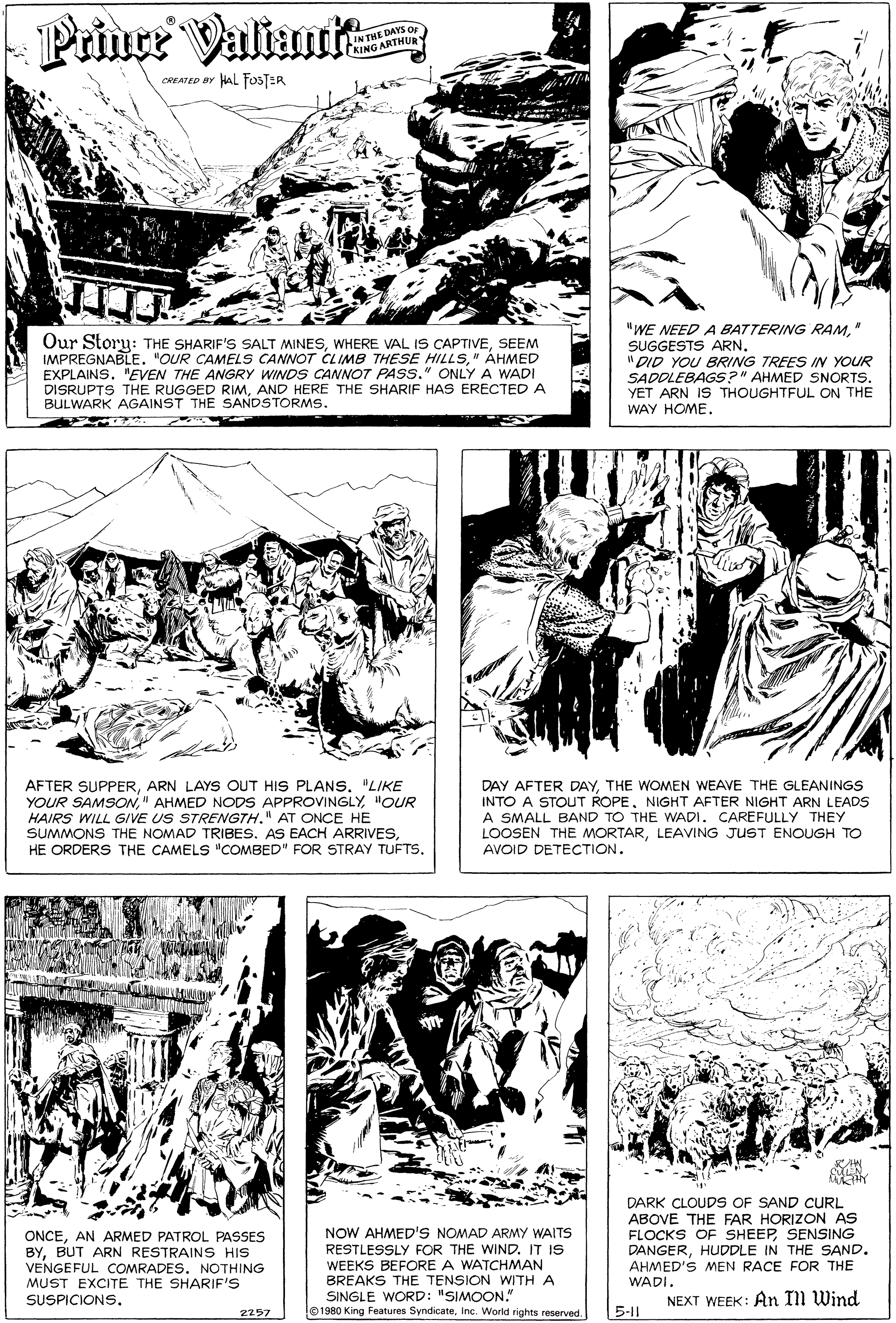 Line OCR: Priure Valiamit IN THE DAYS Or RING ARTHUR CREATED BY HAL FOSTER Our Story: THE SHARIF'S SALT MINESSEEM IMPREGNABLE. "OUR CAMELS CANNOT CLIMB THESE HILLS" AHMED EXPLAINS. "EVEN THE ANGRY WINDS CANNOT PASS." ONLY A WADI DISRUPTS THE RUGGED RIMAND HERE THE SHARIF HAS ERECTED A BULWARK AGAINST THE SANDSTORMS. "WE NEED A BATTERING RAM" SUGGESTS ARN. "DID YOU BRING TREES IN YOUR SADDLEBAGS?" AHMED SNORTS. YET ARN IS THOUGHTFUL ON THE WAY HOME. AFTER SUPPERARN LAYS OUT HIS PLANS. 'LIKE YOUR SAMSON"OUR HAIRS WILL GIVE US STRENGTH." AT ONCE HE SUMMONS THE NOMAD TRIBES. AS EACH ARRIVESHE ORDERS THE CAMELS "COMBED" FOR STRAY TUFTS. DAY AFTER DAYTHE WOMEN WEAVE THE GLEANINGS INTO A STOUT ROPE. NIGHT AFTER NIGHT ARN LEADS A SMALL BAND TO THE WADI. CAREFULLY THEY LOOSEN THE MORTARLEAVING JUST ENOUGH TO AVOID DETECTION. KAN DARK CLOUDS OF SAND CURL ABOVE THE FAR HORIZÓN AS FLOCKS OF SHEEPSENSING DANGERHUDDLE IN THE SAND. AHMED'S MEN RACE FOR THE ONCEAN ARMED PATROL PASSES BYBUT ARN RESTRAINS HIS VENGEFUL COMRADES. NOTHING MUST EXCITE THE SHARIF'S SUSPICIONS. NOW AHMED'S NOMAD ARMY WAITS RESTLESSLY FOR THE WIND. IT IS WEEKS BEFORE A WATCHMAN BREAKS THE TENSION WITH A SINGLE WORD: "SIMOON." 1980 King Features SyndicateInc. World rights reserved. WADI. NEXT WEEK: An m Wind 2257 5-11 Priure Valiamit IN THE DAYS Or RING ARTHUR CREATED BY HAL FOSTER Our Story: THE SHARIF'S SALT MINESWHERE VAL IS CAPTIVESEEM IMPREGNABLE. "OUR CAMELS CANNOT CLIMB THESE HILLS" AHMED EXPLAINS. "EVEN THE ANGRY WINDS CANNOT PASS." ONLY A WADI DISRUPTS THE RUGGED RIMAND HERE THE SHARIF HAS ERECTED A BULWARK AGAINST THE SANDSTORMS. "WE NEED A BATTERING RAM" SUGGESTS ARN. "DID YOU BRING TREES IN YOUR SADDLEBAGS?" AHMED SNORTS. YET ARN IS THOUGHTFUL ON THE WAY HOME. AFTER SUPPERARN LAYS OUT HIS PLANS. 'LIKE YOUR SAMSON" AHMED NODS APPROVINGLY"OUR HAIRS WILL GIVE US STRENGTH." AT ONCE HE SUMMONS THE NOMAD TRIBES. AS EACH ARRIVESHE ORDERS THE CAMELS "COMBED" FOR STRAY TUFTS. DAY AFTER DAYTHE WOMEN WEAVE THE GLEANINGS INTO A STOUT ROPE. NIGHT AFTER NIGHT ARN LEADS A SMALL BAND TO THE WADI. CAREFULLY THEY LOOSEN THE MORTARLEAVING JUST ENOUGH TO AVOID DETECTION. KAN DARK CLOUDS OF SAND CURL ABOVE THE FAR HORIZÓN AS FLOCKS OF SHEEPSENSING DANGERHUDDLE IN THE SAND. AHMED'S MEN RACE FOR THE ONCEAN ARMED PATROL PASSES BYBUT ARN RESTRAINS HIS VENGEFUL COMRADES. NOTHING MUST EXCITE THE SHARIF'S SUSPICIONS. NOW AHMED'S NOMAD ARMY WAITS RESTLESSLY FOR THE WIND. IT IS WEEKS BEFORE A WATCHMAN BREAKS THE TENSION WITH A SINGLE WORD: "SIMOON." 1980 King Features SyndicateInc. World rights reserved. WADI. NEXT WEEK: An m Wind 2257 5-11
