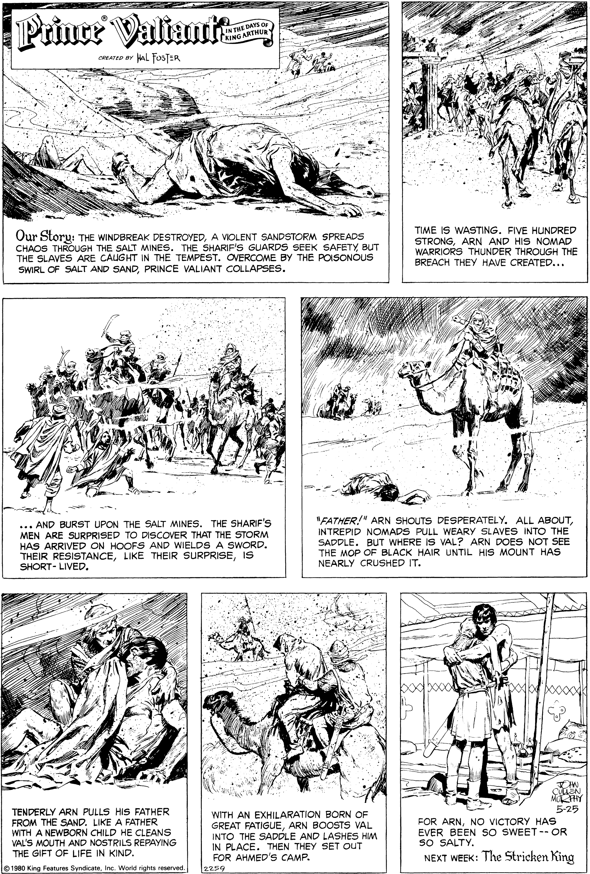 Font OCR: Prince Valiant IN THE DAYS or KING ARTHU CREATED BY HAL FOSTER Our Story: THE WINDBREAK DESTROYEDA VOLENT SANDSTORM SPREADS CHAOS THROUGH THE SALT MINES. THE SHARIF'S GUARDS SEEK SAFETYBUT THE SLAVES ARE CAUGHT IN THE TEMPEST. OVERCOME BY THE POISONOUS SWIRL OF SALT AND SANDPRINCE VALIANT COLLAPSES. TIME IS WASTING. FIVE HUNDRED STRONGARN AND HIS NOMAD WARRIORS THUNDER THROUGH THE BREACH THEY HAVE CREATED... ... AND BURST UPON THE SALT MINES. THE SHARIF'S MEN ARE SURPRISED TO DISCOVER THAT THE STORM HAS ARRIVED ON HOOFS AND WIELDS A SWORD. THEIR RESISTANCEIS SHORT- LIVED. "FATHER!" ARN SHOUTS DESPERATELY. ALL ABOUTINTREPID NOMADS PULL WEARY SLAVES INTO THE SADDLE. BUT WHERE IS VAL? ARN DOES NOT SEE THE MOP OF BLACK HAIR UNTIL HIS MOUNT HAS NEARLY CRUSHED IT. MRHY 5-25 TENDERLY ARN PULLS HIS FATHER FROM THE SAND. LIKE A FATHER WITH A NEWBORN CHILD HE CLEANS VAL'S MOUTH AND NOSTRILS REPAYING THE GIFT OF LIFE IN KIND. WITH AN EXHILARATION BORN OF GREAT FATIGUEARN BOOSTS VAL INTO THE SADDLE AND LASHES HIM IN PLACE. THEN THEY SET OUT FOR AHMED'S CAMP. 2259 FOR ARNNO VICTORY HAS EVER BEEN SO SWEET -- OR sO SALTY. NEXT WEEK: The Stricken King 1980 King Features SyndicateInc. World rights reserved. Prince Valiant IN THE DAYS or KING ARTHU CREATED BY HAL FOSTER Our Story: THE WINDBREAK DESTROYEDA VOLENT SANDSTORM SPREADS CHAOS THROUGH THE SALT MINES. THE SHARIF'S GUARDS SEEK SAFETYBUT THE SLAVES ARE CAUGHT IN THE TEMPEST. OVERCOME BY THE POISONOUS SWIRL OF SALT AND SANDPRINCE VALIANT COLLAPSES. TIME IS WASTING. FIVE HUNDRED STRONGARN AND HIS NOMAD WARRIORS THUNDER THROUGH THE BREACH THEY HAVE CREATED... ... AND BURST UPON THE SALT MINES. THE SHARIF'S MEN ARE SURPRISED TO DISCOVER THAT THE STORM HAS ARRIVED ON HOOFS AND WIELDS A SWORD. THEIR RESISTANCELIKE THEIR SURPRISEIS SHORT- LIVED. "FATHER!" ARN SHOUTS DESPERATELY. ALL ABOUTINTREPID NOMADS PULL WEARY SLAVES INTO THE SADDLE. BUT WHERE IS VAL? ARN DOES NOT SEE THE MOP OF BLACK HAIR UNTIL HIS MOUNT HAS NEARLY CRUSHED IT. MRHY 5-25 TENDERLY ARN PULLS HIS FATHER FROM THE SAND. LIKE A FATHER WITH A NEWBORN CHILD HE CLEANS VAL'S MOUTH AND NOSTRILS REPAYING THE GIFT OF LIFE IN KIND. WITH AN EXHILARATION BORN OF GREAT FATIGUEARN BOOSTS VAL INTO THE SADDLE AND LASHES HIM IN PLACE. THEN THEY SET OUT FOR AHMED'S CAMP. 2259 FOR ARNNO VICTORY HAS EVER BEEN SO SWEET -- OR sO SALTY. NEXT WEEK: The Stricken King 1980 King Features SyndicateInc. World rights reserved.
