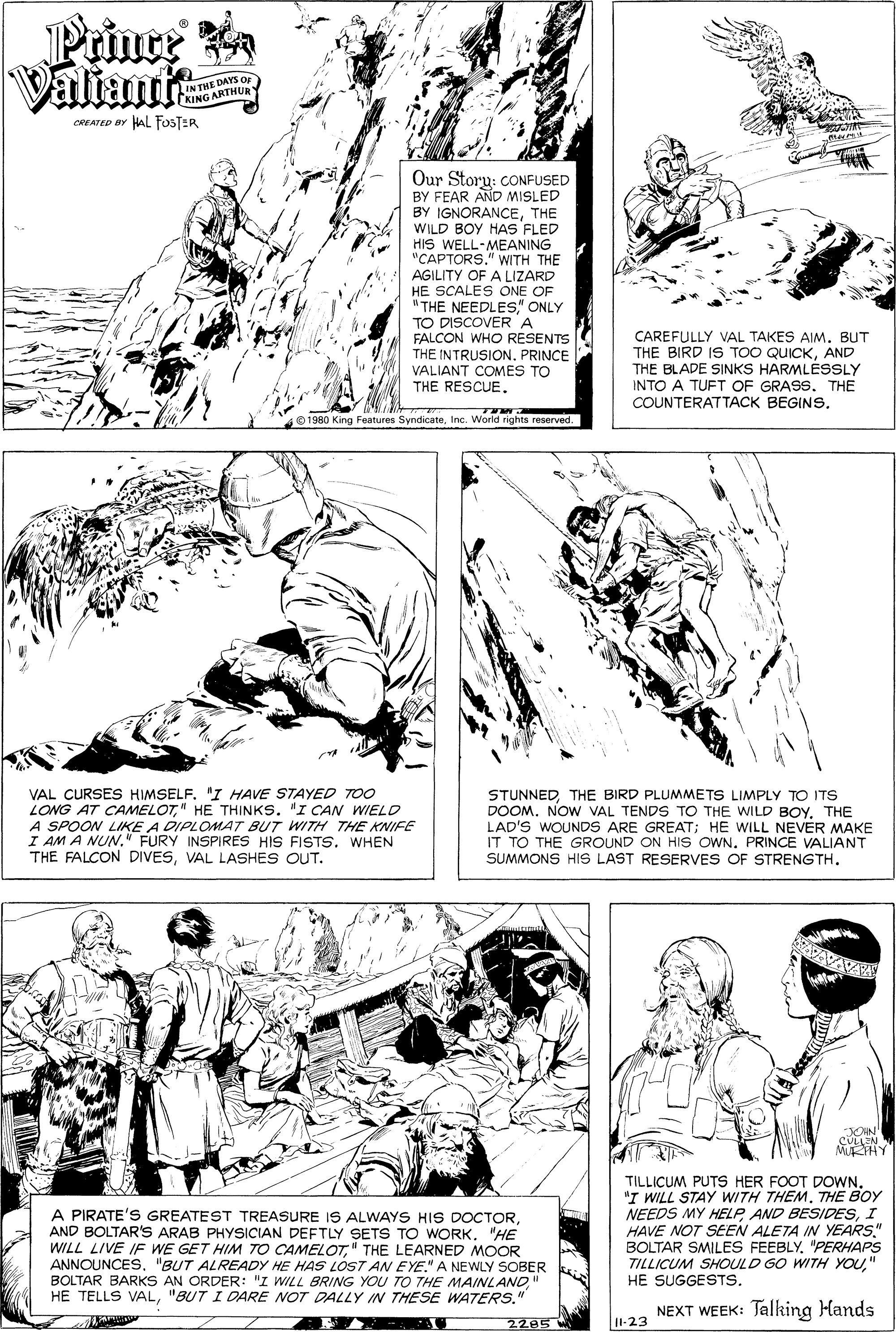Organism OCR: Valiani 2IN THE DAYS O NG ARTHUR CREATED BY HAL fosTER Our Storu: CONFUSED BY FEAR AND MISLED BY IGNORANCETHE WILD BOY HAS FLED HIS WELL-MEANING "CAPTORS." WITH THE AGILITY OF A LIZARD HE SCALES ONE OF "THE NEEDLES" ONLY TO DISCOVER A FALCON WHO RESENTS THE INTRUSIONPRINCE VALIANT COMES TO THE RESCUE. CAREFULLY VAL TAKES AIM. BUT THE BIRD IS TOO QUICKAND THE BLADE SINKS HARMLÉSSLY INTO A TUFT OF GRASS. THE COUNTERATTACK BEGINS. 1980 King Features SyndicateInc. World rights re VAL CURSES HIMSELF. "I HAVE STAYED T0 LONG AT CAMELOT" HE THINKS. "I CAN WIELD A SPOON LIKE A DIPLOMAT BUT WITH THE KNIFE I AM A NUN." FURY INSPIRES HIS FISTS. WHEN THE FALCON DIVESVAL LASHES OUT. STUNNEDTHE BIRD PLUMMETS LIMPLY TO ITS DOOM. NOW VAL TENDS TO THE WILD BOYTHE LAD'S WOUNDS ARE GREAT; HE WILL NEVER MAKE IT TO THE GROUND ON HIS OWN. PRINCE VALIANT SUMMONS HIS LAST RESERVES OF STRENGTH. CULLEN MRIHY A PIRATE'S GREATEST TREASURE IS ALWAYS HIS DOCTOR"HE WILL LIVE IF WE GET HIM TO CAMELOT" THE LEARNED MOOR ANNOUNCES"BUT ALREADY HE HAS LÓST AN EYENA NEWLY SOBER BOLTAR BARKS AN ORDER: "I WILL BRING YOU TO THE MAINLAND" HE TELLS VAL"BUT I DARE NOT DALLY IN THESE WATERS." TILLICUM PUTS HER FOOT DOWNTHE BOY NEEDS MY HELPI HAVE NOT SEEN ALETA IN YEARS" BOLTAR SMILES FEEBLY"PERHAPS TILLICUM SHOULD GO WITH YOU" HE SUGGESTS. NEXT WEEK: Talking Hands 2285 II-23 Valiani 2IN THE DAYS O NG ARTHUR CREATED BY HAL fosTER Our Storu: CONFUSED BY FEAR AND MISLED BY IGNORANCETHE WILD BOY HAS FLED HIS WELL-MEANING "CAPTORS." WITH THE AGILITY OF A LIZARD HE SCALES ONE OF "THE NEEDLES" ONLY TO DISCOVER A FALCON WHO RESENTS THE INTRUSIONPRINCE VALIANT COMES TO THE RESCUE. CAREFULLY VAL TAKES AIM. BUT THE BIRD IS TOO QUICKAND THE BLADE SINKS HARMLÉSSLY INTO A TUFT OF GRASS. THE COUNTERATTACK BEGINS. 1980 King Features SyndicateInc. World rights re VAL CURSES HIMSELF. "I HAVE STAYED T0 LONG AT CAMELOT" HE THINKS. "I CAN WIELD A SPOON LIKE A DIPLOMAT BUT WITH THE KNIFE I AM A NUN." FURY INSPIRES HIS FISTS. WHEN THE FALCON DIVESVAL LASHES OUT. STUNNEDTHE BIRD PLUMMETS LIMPLY TO ITS DOOM. NOW VAL TENDS TO THE WILD BOYTHE LAD'S WOUNDS ARE GREAT; HE WILL NEVER MAKE IT TO THE GROUND ON HIS OWN. PRINCE VALIANT SUMMONS HIS LAST RESERVES OF STRENGTH. CULLEN MRIHY A PIRATE'S GREATEST TREASURE IS ALWAYS HIS DOCTORAND BOLTAR'S ARAB PHYSICIAN DEFTLY SETS TO WORK"HE WILL LIVE IF WE GET HIM TO CAMELOT" THE LEARNED MOOR ANNOUNCES"BUT ALREADY HE HAS LÓST AN EYENA NEWLY SOBER BOLTAR BARKS AN ORDER: "I WILL BRING YOU TO THE MAINLAND" HE TELLS VAL"BUT I DARE NOT DALLY IN THESE WATERS." TILLICUM PUTS HER FOOT DOWN"I WILL STAY WITH THEMTHE BOY NEEDS MY HELPAND BESIDESI HAVE NOT SEEN ALETA IN YEARS" BOLTAR SMILES FEEBLY"PERHAPS TILLICUM SHOULD GO WITH YOU" HE SUGGESTS. NEXT WEEK: Talking Hands 2285 II-23