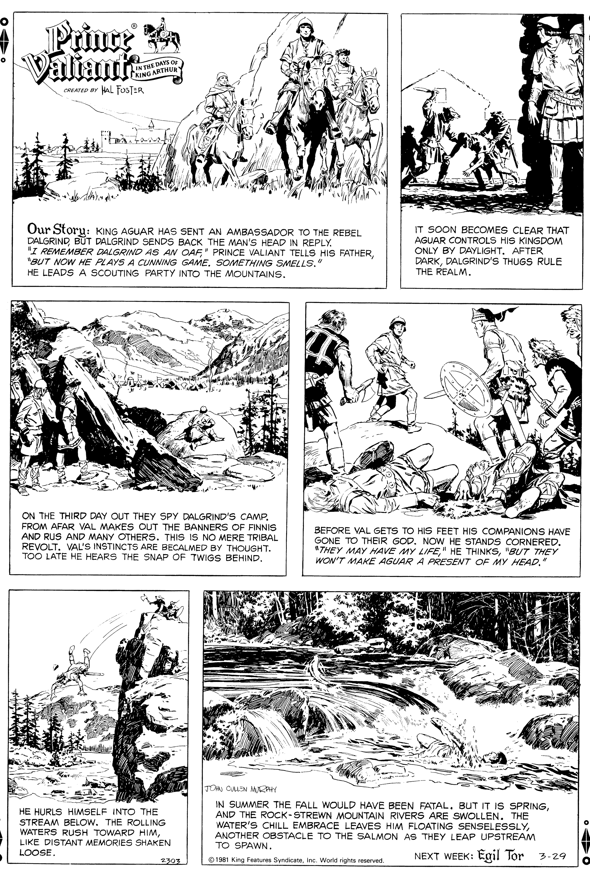 Art OCR: Prince a Valiante IN THE DAYS OE CKING ARTHUR CREATED BY HAL FOSTER Our Storu: KING AGUAR HAS SENT AN AMBASSADOR TO THE REBEL DALGRIND BUT DALGRIND SENDS BACK THE MAN'S HEAD IN REPLY. "I REMEMBER DALGRIND AS AN OAF"BUT NOW HE PLAYS A CUNNING GAME. SOMETHING SMELLS. HE LEADS A SCOUTING PARTY INTO THE MOUNTAINS. IT SOON BECOMES CLEAR THAT AGUAR CONTROLS HIS KINGDOM ONLY BY DAYLIGHT. AFTER DARKDALGRIND'S THUGS RULE THE REALM. ON THE THIRD DAY OUT THEY SPY DALGRIND'S CAMP. FROM AFAR VAL MAKES OUT THE BANNERS OF FINNIS AND RUS AND MANY OTHERS. THIS IS NO MERE TRIBAL REVOLTVAL'S INSTINCTS ARE BECALMED BY THOUGHT. TOO LATE HE HEARS THE SNAP OF TWIGS BEHIND. BEFORE VAL GETS TO HIS FEET HIS COMPANIONS HAVE GONE TO THEIR GOD. NOW HE STANDS CORNERED. "THEY MAY HAVE MY LIFE"BUT THEY WON'T MAKE AGUAR A PRESENT OF MY HEAD." JON OALEN MRAH HE HURLS HIMSELF INTO THE STREAM BELOW. THE ROLLING WATERS RUSH TOWARD HIMAND THE ROCK-STREWN MOUNTAIN RIVERS ARE SWOLLEN. THE WATER'S CHILL EMBRACE LEAVES HIM FLOATING SENSELESSLYANOTHER OBSTACLE TO THE SALMON AS THEY LEAP UPSTREAM TO SPAWN. LIKE DISTANT MEMORIES SHAKEN LOOSE. NEXT WEEK: Egil Tor 3-29 2303 © 1981 King Features SyndicateInc. World rights reserved. Prince a Valiante IN THE DAYS OE CKING ARTHUR CREATED BY HAL FOSTER Our Storu: KING AGUAR HAS SENT AN AMBASSADOR TO THE REBEL DALGRIND BUT DALGRIND SENDS BACK THE MAN'S HEAD IN REPLY. "I REMEMBER DALGRIND AS AN OAF' PRINCE VALIANT TELLS HIS FATHER"BUT NOW HE PLAYS A CUNNING GAME. SOMETHING SMELLS. HE LEADS A SCOUTING PARTY INTO THE MOUNTAINS. IT SOON BECOMES CLEAR THAT AGUAR CONTROLS HIS KINGDOM ONLY BY DAYLIGHT. AFTER DARKDALGRIND'S THUGS RULE THE REALM. ON THE THIRD DAY OUT THEY SPY DALGRIND'S CAMP. FROM AFAR VAL MAKES OUT THE BANNERS OF FINNIS AND RUS AND MANY OTHERS. THIS IS NO MERE TRIBAL REVOLTVAL'S INSTINCTS ARE BECALMED BY THOUGHT. TOO LATE HE HEARS THE SNAP OF TWIGS BEHIND. BEFORE VAL GETS TO HIS FEET HIS COMPANIONS HAVE GONE TO THEIR GOD. NOW HE STANDS CORNERED. "THEY MAY HAVE MY LIFE" HE THINKS"BUT THEY WON'T MAKE AGUAR A PRESENT OF MY HEAD." JON OALEN MRAH HE HURLS HIMSELF INTO THE STREAM BELOW. THE ROLLING WATERS RUSH TOWARD HIMIN SUMMER THE FALL WOULD HAVE BEEN FATAL. BUT IT IS SPRINGAND THE ROCK-STREWN MOUNTAIN RIVERS ARE SWOLLEN. THE WATER'S CHILL EMBRACE LEAVES HIM FLOATING SENSELESSLYANOTHER OBSTACLE TO THE SALMON AS THEY LEAP UPSTREAM TO SPAWN. LIKE DISTANT MEMORIES SHAKEN LOOSE. NEXT WEEK: Egil Tor 3-29 2303 © 1981 King Features SyndicateInc. World rights reserved.