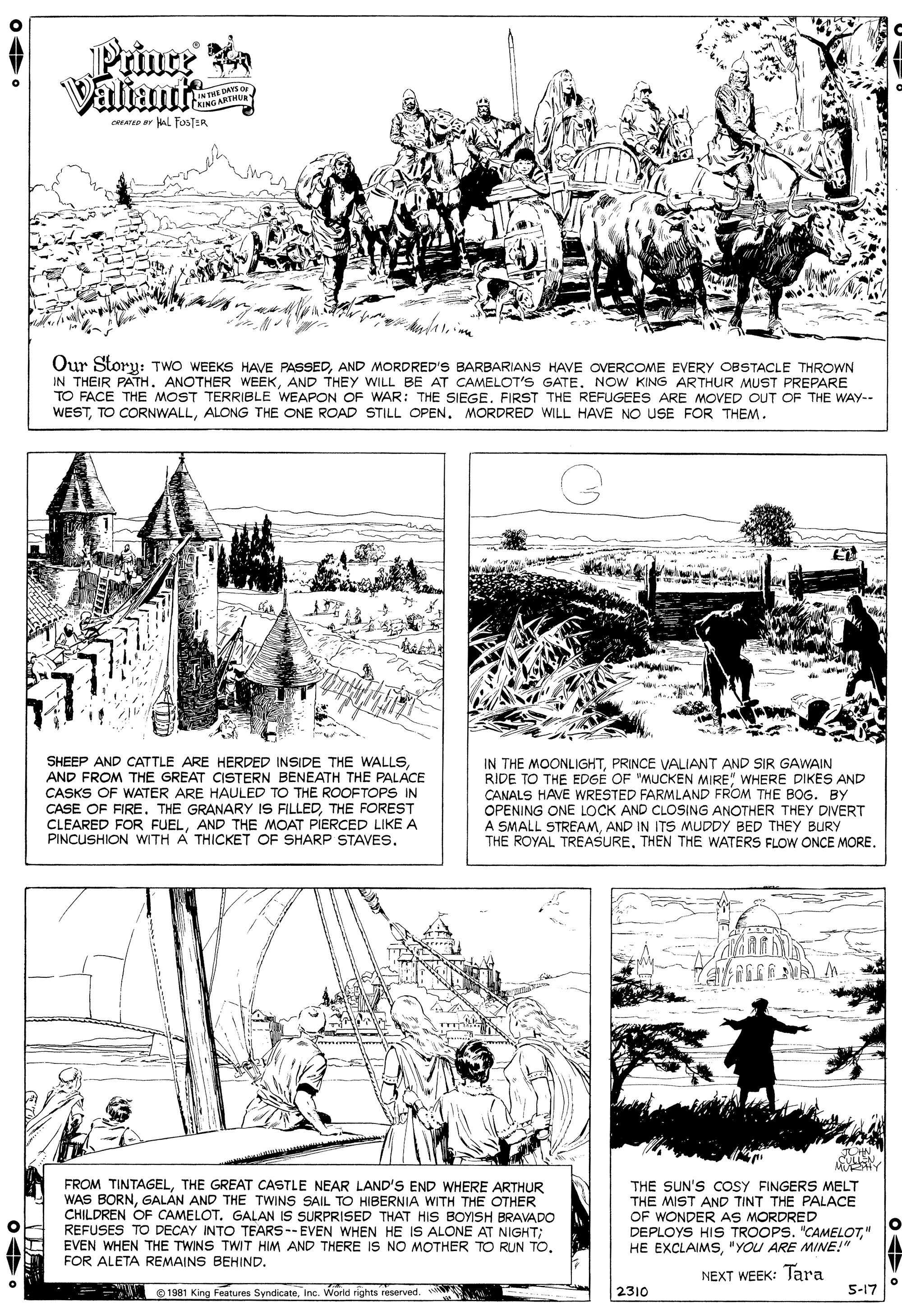 Illustration OCR: Prince Valiant LINTHE DAYS O CAING ARTH cATe ar kalL FosTER Our Storu: TWO WEEKS HAVE PASSEDAND MORDRED'S BARBARIANS HAVE OVERCOME EVERY OBSTACLE THROWN IN THEIR PATH. ANOTHER WEEKAND THEY WILL BE AT CAMELOT'S GATE. NOW KING ARTHUR MUST PREPARE TO FACE THE MOST TERRIBLE WEAPON OF WAR: THE SIEGE. FIRST THE REFUGEES ARE MOVED OUT OF THE WAY-- WESTALONG THE ONE ROAD STILL OPEN. MORDRED WILL HAVE NO USE FOR THEM. SHEEP AND CATTLE ARE HERDED INSIDE THE WALLSAND FROM THE GREAT CISTERN BENEATH THE PALACE CASKS OF WATER ARE HAULED TO THE ROOFTOPS IN CASE OF FIRE. THE GRANARY IS FILLEDTHE FOREST CLEARED FOR FUELAND THE MOAT PIERCED LIKE A PINCUSHION WITH A THICKET OF SHARP STAVES. IN THE MOONLIGHTPRINCE VALIANT AND SIR GAWAIN RIDE TO THE EDGE OF "MUCKEN MIRE" WHERE DIKES AND CANALS HAVE WRESTED FARMLAND FROM THE BOG. BY OPENING ONE LOCK AND CLOSING ANOTHER THEY DIVERT A SMALL STREAMAND IN ITS MUDDY BED THEY BURY THE ROYAL TREASURETHEN THE WATERS FLOW ONCE MORE. FROM TINTAGELTHE GREAT CASTLE NEAR LAND'S END WHERE ARTHUR WAS BORNGALAN AND THE TWINS SAIL TO HIBERNIA WITH THE OTHER CHILDREN OF CAMELOT. GALAN IS SURPRISED THAT HIS BOYISH BRAVADO REFUSES TO DECAY INTO TEARS-- EVEN WHEN HE IS ALONE AT NIGHT; EVEN WHEN THE TWINS TWIT HIM AND THERE IS NO MOTHER TO RUN TO. FOR ALETA REMAINS BEHIND. THE SUN'S COSY FINGERS MELT THE MIST AND TINT THE PALACE OF WONDER AS MORDRED DEPLOYS HIS TROOPS. "CAMELOT" HE EXCLAIMS"YOU ARE MINE!" NEXT WEEK: Tara O 1981 King Features SyndicateInc. World rights reserved. 2310 5-17 e Prince Valiant LINTHE DAYS O CAING ARTH cATe ar kalL FosTER Our Storu: TWO WEEKS HAVE PASSEDAND MORDRED'S BARBARIANS HAVE OVERCOME EVERY OBSTACLE THROWN IN THEIR PATH. ANOTHER WEEKAND THEY WILL BE AT CAMELOT'S GATE. NOW KING ARTHUR MUST PREPARE TO FACE THE MOST TERRIBLE WEAPON OF WAR: THE SIEGE. FIRST THE REFUGEES ARE MOVED OUT OF THE WAY-- WESTTO CORNWALLALONG THE ONE ROAD STILL OPEN. MORDRED WILL HAVE NO USE FOR THEM. SHEEP AND CATTLE ARE HERDED INSIDE THE WALLSAND FROM THE GREAT CISTERN BENEATH THE PALACE CASKS OF WATER ARE HAULED TO THE ROOFTOPS IN CASE OF FIRE. THE GRANARY IS FILLEDTHE FOREST CLEARED FOR FUELAND THE MOAT PIERCED LIKE A PINCUSHION WITH A THICKET OF SHARP STAVES. IN THE MOONLIGHTPRINCE VALIANT AND SIR GAWAIN RIDE TO THE EDGE OF "MUCKEN MIRE" WHERE DIKES AND CANALS HAVE WRESTED FARMLAND FROM THE BOG. BY OPENING ONE LOCK AND CLOSING ANOTHER THEY DIVERT A SMALL STREAMAND IN ITS MUDDY BED THEY BURY THE ROYAL TREASURETHEN THE WATERS FLOW ONCE MORE. FROM TINTAGELTHE GREAT CASTLE NEAR LAND'S END WHERE ARTHUR WAS BORNGALAN AND THE TWINS SAIL TO HIBERNIA WITH THE OTHER CHILDREN OF CAMELOT. GALAN IS SURPRISED THAT HIS BOYISH BRAVADO REFUSES TO DECAY INTO TEARS-- EVEN WHEN HE IS ALONE AT NIGHT; EVEN WHEN THE TWINS TWIT HIM AND THERE IS NO MOTHER TO RUN TO. FOR ALETA REMAINS BEHIND. THE SUN'S COSY FINGERS MELT THE MIST AND TINT THE PALACE OF WONDER AS MORDRED DEPLOYS HIS TROOPS. "CAMELOT" HE EXCLAIMS"YOU ARE MINE!" NEXT WEEK: Tara O 1981 King Features SyndicateInc. World rights reserved. 2310 5-17 e