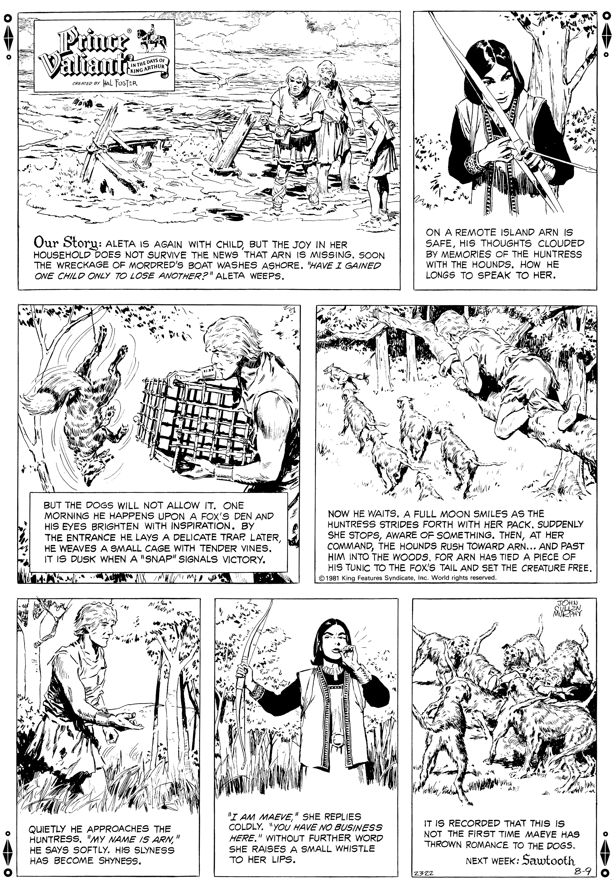 Line OCR: Prinre z Valiamt LANTHEDAYS or INTTHURY AING ARTHE AD r AL fosTER Our Storu: ALETA IS AGAIN WITH CHILDBUT THE JOY IN HER HOUSEHOLD DOES NOT SURVIVE THE NEWS THAT ARN IS MISSING. SOON THE WRECKAGE OF MORDRED's BOAT WASHES ASHORE. "HAVE I GAINED ONE CHILD ONLY TO LOSE AOTHER?" ALETA WEEPS. ON A REMOTE ISLAND ARN IS SAFEHIS THOUGHTS CLOUDED BY MEMORIES OF THE HUNTRESS WITH THE HOUNDS. HOW HE LONGS TO SPEAK TO HER. BUT THE DOGS WILL NOT ALLOW ITONE MORNING HE HAPPENS UPON A FOX'S DEN AND HIS EYES BRIGHTEN WITH INSPIRATION. BY THE ENTRANCE HE LAYS A DELICATE TRAP LATERIT IS DUSK WHEN A "SNAP" SIGNALS VICTORY. NOW HE WAITS. A FULL MOON SMILES AS THE HUNTRESS STRIDES FORTH WWITH HER PACK. SUDDENLY SHE STOPSAT HER COMMANDTHE HOUNDS RUSH TOWARD ARN... AND PAST HIM INTO THE WOODS. FOR ARN HAS TIEDA PIECE OF HIS TUNIC TO THE FOX'S TAIL AND SET THE CREATURE FREE. 01981 King Features SyndicateInc. World rights reserved. QUIETLY HE APPROACHES THE HUNTRESS. "MY NAME IS ARN" HE SAYS SOFTLY. HIS SLYNESS HAS BECOME SHYNESS. 'I AM MAEVE" SHE REPLIES COLDLY. "YOU HAVE NO BUSINESS HERE." WITHOUT FURTHER WORD SHE RAISES A SMALL WHISTLE TO HER LIPS. IT IS RECORDED THAT THIS IS NOT THE FIRST TIME MAEVE HAS THROWN ROMANCE TO THE DOGS. NEXT WEEK: Sawtooth 8-90 2322 Prinre z Valiamt LANTHEDAYS or INTTHURY AING ARTHE AD r AL fosTER Our Storu: ALETA IS AGAIN WITH CHILDBUT THE JOY IN HER HOUSEHOLD DOES NOT SURVIVE THE NEWS THAT ARN IS MISSING. SOON THE WRECKAGE OF MORDRED's BOAT WASHES ASHORE. "HAVE I GAINED ONE CHILD ONLY TO LOSE AOTHER?" ALETA WEEPS. ON A REMOTE ISLAND ARN IS SAFEHIS THOUGHTS CLOUDED BY MEMORIES OF THE HUNTRESS WITH THE HOUNDS. HOW HE LONGS TO SPEAK TO HER. BUT THE DOGS WILL NOT ALLOW ITONE MORNING HE HAPPENS UPON A FOX'S DEN AND HIS EYES BRIGHTEN WITH INSPIRATION. BY THE ENTRANCE HE LAYS A DELICATE TRAP LATERHE WEAVES A SMALL CAGE WITH TENDER VINESIT IS DUSK WHEN A "SNAP" SIGNALS VICTORY. NOW HE WAITS. A FULL MOON SMILES AS THE HUNTRESS STRIDES FORTH WWITH HER PACK. SUDDENLY SHE STOPSAWARE OF SOME THINGAT HER COMMANDTHE HOUNDS RUSH TOWARD ARN... AND PAST HIM INTO THE WOODS. FOR ARN HAS TIEDA PIECE OF HIS TUNIC TO THE FOX'S TAIL AND SET THE CREATURE FREE. 01981 King Features SyndicateInc. World rights reserved. QUIETLY HE APPROACHES THE HUNTRESS. "MY NAME IS ARN" HE SAYS SOFTLY. HIS SLYNESS HAS BECOME SHYNESS. 'I AM MAEVE" SHE REPLIES COLDLY. "YOU HAVE NO BUSINESS HERE." WITHOUT FURTHER WORD SHE RAISES A SMALL WHISTLE TO HER LIPS. IT IS RECORDED THAT THIS IS NOT THE FIRST TIME MAEVE HAS THROWN ROMANCE TO THE DOGS. NEXT WEEK: Sawtooth 8-90 2322