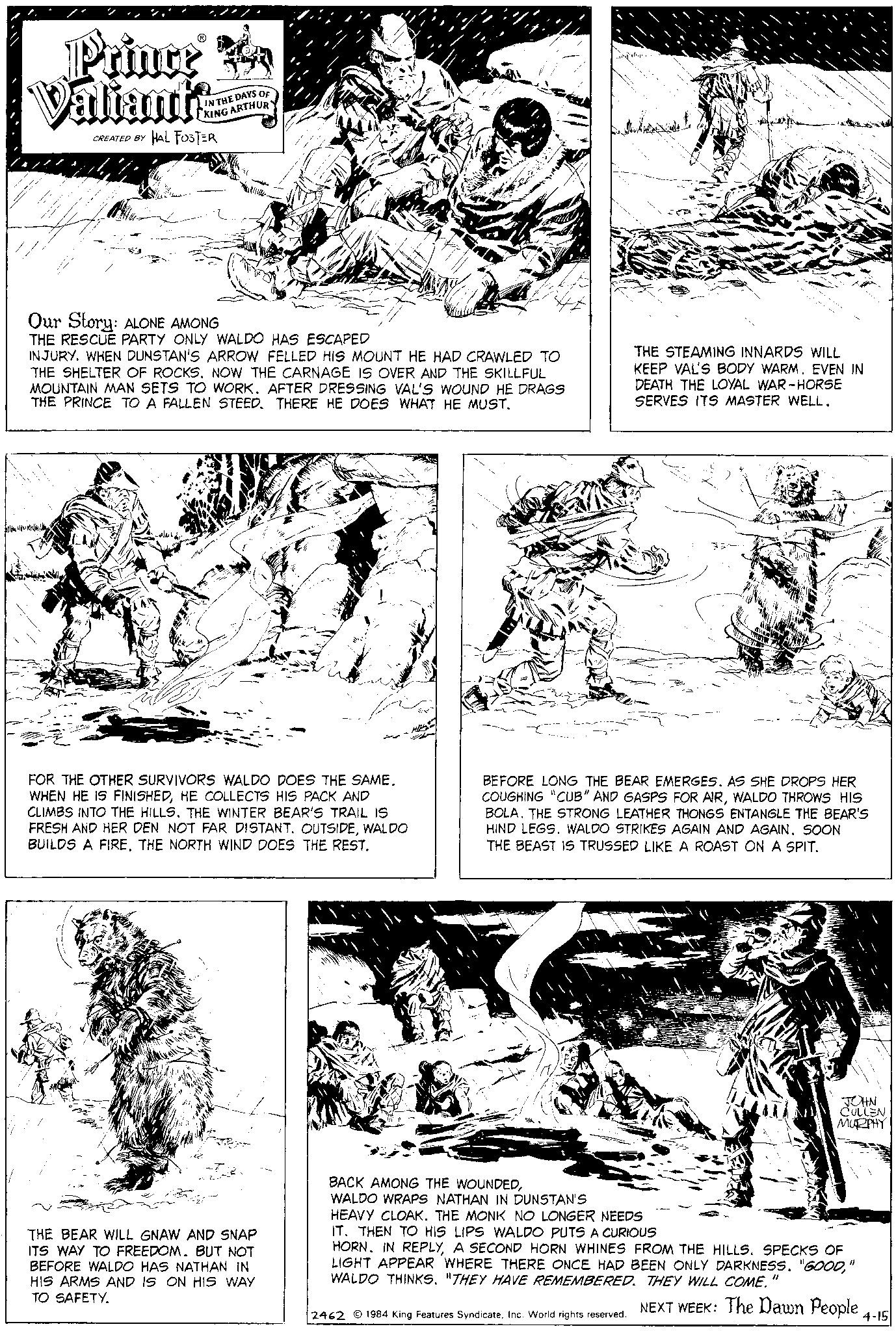 Line OCR: Prince Valiantscomm CREATED BY HAL FOSTER IN THE DAYS OF KING ARTHUR Our Story: ALONE AMONG THE RESCUE PARTY ONLY WALDO HAS ESCAPED INJURY. WHEN DUNSTAN'S ARROW FELLED HIS MOUNT HE HAD CRAWLED TO THE SHELTER OF ROCKS. NOW THE CARNAGE IS OVER AND THE SKILLFUL MOUNTAIN MAN SETS TO WORK. AFTER DRESSING VAL'S WOUND HE DRAGS THE PRINCE TO A FALLEN STEED. THERE HE DOES WHAT HE MUST. FOR THE OTHER SURVIVORS WALDO DOES THE SAME. WHEN HE IS FINISHEDHE COLLECTS HIS PACK AND CLIMBS INTO THE HILLS. THE WINTER BEAR'S TRAIL IS FRESH AND HER DEN NOT FAR DISTANT. OUTSIDEWALDO BUILDS A FIRE. THE NORTH WIND DOES THE REST. // X THE BEAR WILL GNAW AND SNAP ITS WAY TO FREEDOM. BUT NOT BEFORE WALDO HAS NATHAN IN HIS ARMS AND IS ON HIS WAY TO SAFETY. THE STEAMING INNARDS WILL KEEP VAL'S BODY WARM. EVEN IN DEATH THE LOYAL WAR-HORSE SERVES ITS MASTER WELL. BEFORE LONG THE BEAR EMERGES. AS SHE DROPS HER COUGHING "CUB" AND GASPS FOR AIRWALDO THROWS HIS BOLA. THE STRONG LEATHER THONGS ENTANGLE THE BEAR'S HIND LEGS. WALDO STRIKES AGAIN AND AGAIN. SOON THE BEAST IS TRUSSED LIKE A ROAST ON A SPIT. BACK AMONG THE WOUNDEDWALDO WRAPS NATHAN IN DUNSTAN'S HEAVY CLOAK. THE MONK NO LONGER NEEDS IT. THEN TO HIS LIPS WALDO PUTS A CURIOUS 2462 © 1984 King Features SyndicateInc. World rights reserved. JOHN CULLEN MURPHY HORN. IN REPLYA SECOND HORN WHINES FROM THE HILLS. SPECKS OF LIGHT APPEAR WHERE THERE ONCE HAD BEEN ONLY DARKNESS. "GOOD" WALDO THINKS. "THEY HAVE REMEMBERED. THEY WILL COME. NEXT WEEK: The Dawn People 4-15 Prince Valiantscomm CREATED BY HAL FOSTER IN THE DAYS OF KING ARTHUR Our Story : ALONE AMONG THE RESCUE PARTY ONLY WALDO HAS ESCAPED INJURY . WHEN DUNSTAN'S ARROW FELLED HIS MOUNT HE HAD CRAWLED TO THE SHELTER OF ROCKS . NOW THE CARNAGE IS OVER AND THE SKILLFUL MOUNTAIN MAN SETS TO WORK . AFTER DRESSING VAL'S WOUND HE DRAGS THE PRINCE TO A FALLEN STEED . THERE HE DOES WHAT HE MUST . FOR THE OTHER SURVIVORS WALDO DOES THE SAME . WHEN HE IS FINISHEDHE COLLECTS HIS PACK AND CLIMBS INTO THE HILLS . THE WINTER BEAR'S TRAIL IS FRESH AND HER DEN NOT FAR DISTANT . OUTSIDEWALDO BUILDS A FIRE . THE NORTH WIND DOES THE REST . // X THE BEAR WILL GNAW AND SNAP ITS WAY TO FREEDOM . BUT NOT BEFORE WALDO HAS NATHAN IN HIS ARMS AND IS ON HIS WAY TO SAFETY . THE STEAMING INNARDS WILL KEEP VAL'S BODY WARM . EVEN IN DEATH THE LOYAL WAR - HORSE SERVES ITS MASTER WELL . BEFORE LONG THE BEAR EMERGES . AS SHE DROPS HER COUGHING " CUB " AND GASPS FOR AIRWALDO THROWS HIS BOLA . THE STRONG LEATHER THONGS ENTANGLE THE BEAR'S HIND LEGS . WALDO STRIKES AGAIN AND AGAIN . SOON THE BEAST IS TRUSSED LIKE A ROAST ON A SPIT . BACK AMONG THE WOUNDEDWALDO WRAPS NATHAN IN DUNSTAN'S HEAVY CLOAK . THE MONK NO LONGER NEEDS IT . THEN TO HIS LIPS WALDO PUTS A CURIOUS 2462 © 1984 King Features SyndicateInc. World rights reserved . JOHN CULLEN MURPHY HORN . IN REPLYA SECOND HORN WHINES FROM THE HILLS . SPECKS OF LIGHT APPEAR WHERE THERE ONCE HAD BEEN ONLY DARKNESS . " GOOD" WALDO THINKS . " THEY HAVE REMEMBERED . THEY WILL COME . NEXT WEEK : The Dawn People 4-15