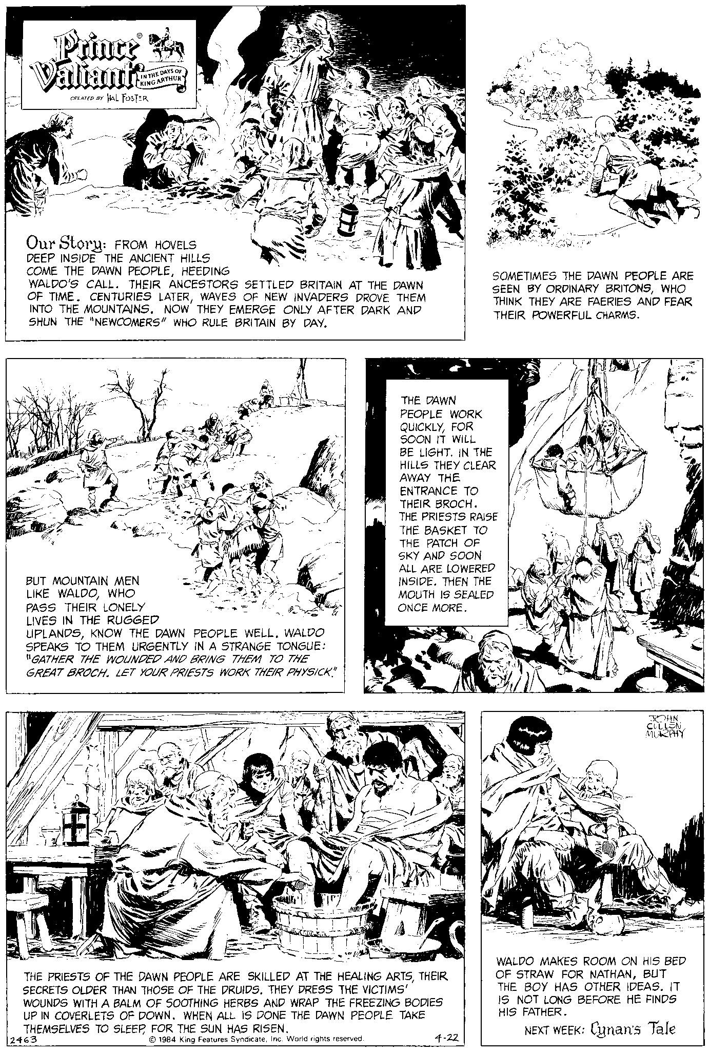 Parallel OCR: Prince Valiant CREATED BY HAL FOSTER IN THE DAYS OF KING ARTHUR Our Story: FROM HOVELS DEEP INSIDE THE ANCIENT HILLS COME THE DAWN PEOPLEHEEDING WALDO'S CALL. THEIR ANCESTORS SETTLED BRITAIN AT THE DAWN OF TIME. CENTURIES LATERWAVES OF NEW INVADERS DROVE THEM INTO THE MOUNTAINS. NOW THEY EMERGE ONLY AFTER DARK AND SHUN THE "NEWCOMERS" WHO RULE BRITAIN BY DAY. BUT MOUNTAIN MEN LIKE WALDOWHO PASS THEIR LONELY LIVES IN THE RUGGED NO LIPLANDSKNOW THE DAWN PEOPLE WELL. WALDO SPEAKS TO THEM URGENTLY IN A STRANGE TONGUE: "GATHER THE WOUNDED AND BRING THEM TO THE GREAT BROCH. LET YOUR PRIESTS WORK THEIR PHYSICK." E 2463 THE PRIESTS OF THE DAWN PEOPLE ARE SKILLED AT THE HEALING ARTSTHEIR SECRETS OLDER THAN THOSE OF THE DRUIDS. THEY DRESS THE VICTIMS' WOUNDS WITH A BALM OF SOOTHING HERBS AND WRAP THE FREEZING BODIES UP IN COVERLETS OF DOWN. WHEN ALL IS DONE THE DAWN PEOPLE TAKE THEMSELVES TO SLEEPFOR THE SUN HAS RISEN. 1984 King Features SyndicateInc. World rights reserved. THE DAWN PEOPLE WORK QUICKLYFOR SOON IT WILL BE LIGHT. IN THE HILLS THEY CLEAR AWAY THE ENTRANCE TO THEIR BROCH. THE PRIESTS RAISE THE BASKET TO THE PATCH OF SKY AND SOON ALL ARE LOWERED INSIDE. THEN THE MOUTH IS SEALED ONCE MORE. SOMETIMES THE DAWN PEOPLE ARE SEEN BY ORDINARY BRITONSWHO THINK THEY ARE FAERIES AND FEAR THEIR POWERFUL CHARMS. 4-22 24 JOHN CULLEN MURPHY WALDO MAKES ROOM ON HIS BED OF STRAW FOR NATHANBUT THE BOY HAS OTHER IDEAS. IT IS NOT LONG BEFORE HE FINDS HIS FATHER. NEXT WEEK: Cynan's Tale Prince Valiant CREATED BY HAL FOSTER IN THE DAYS OF KING ARTHUR Our Story : FROM HOVELS DEEP INSIDE THE ANCIENT HILLS COME THE DAWN PEOPLEHEEDING WALDO'S CALL . THEIR ANCESTORS SETTLED BRITAIN AT THE DAWN OF TIME . CENTURIES LATERWAVES OF NEW INVADERS DROVE THEM INTO THE MOUNTAINS . NOW THEY EMERGE ONLY AFTER DARK AND SHUN THE " NEWCOMERS " WHO RULE BRITAIN BY DAY . BUT MOUNTAIN MEN LIKE WALDOWHO PASS THEIR LONELY LIVES IN THE RUGGED NO LIPLANDSKNOW THE DAWN PEOPLE WELL . WALDO SPEAKS TO THEM URGENTLY IN A STRANGE TONGUE : " GATHER THE WOUNDED AND BRING THEM TO THE GREAT BROCH . LET YOUR PRIESTS WORK THEIR PHYSICK . " E 2463 THE PRIESTS OF THE DAWN PEOPLE ARE SKILLED AT THE HEALING ARTSTHEIR SECRETS OLDER THAN THOSE OF THE DRUIDS . THEY DRESS THE VICTIMS ' WOUNDS WITH A BALM OF SOOTHING HERBS AND WRAP THE FREEZING BODIES UP IN COVERLETS OF DOWN . WHEN ALL IS DONE THE DAWN PEOPLE TAKE THEMSELVES TO SLEEPFOR THE SUN HAS RISEN . 1984 King Features SyndicateInc. World rights reserved . THE DAWN PEOPLE WORK QUICKLYFOR SOON IT WILL BE LIGHT . IN THE HILLS THEY CLEAR AWAY THE ENTRANCE TO THEIR BROCH . THE PRIESTS RAISE THE BASKET TO THE PATCH OF SKY AND SOON ALL ARE LOWERED INSIDE . THEN THE MOUTH IS SEALED ONCE MORE . SOMETIMES THE DAWN PEOPLE ARE SEEN BY ORDINARY BRITONSWHO THINK THEY ARE FAERIES AND FEAR THEIR POWERFUL CHARMS . 4-22 24 JOHN CULLEN MURPHY WALDO MAKES ROOM ON HIS BED OF STRAW FOR NATHANBUT THE BOY HAS OTHER IDEAS . IT IS NOT LONG BEFORE HE FINDS HIS FATHER . NEXT WEEK : Cynan's Tale