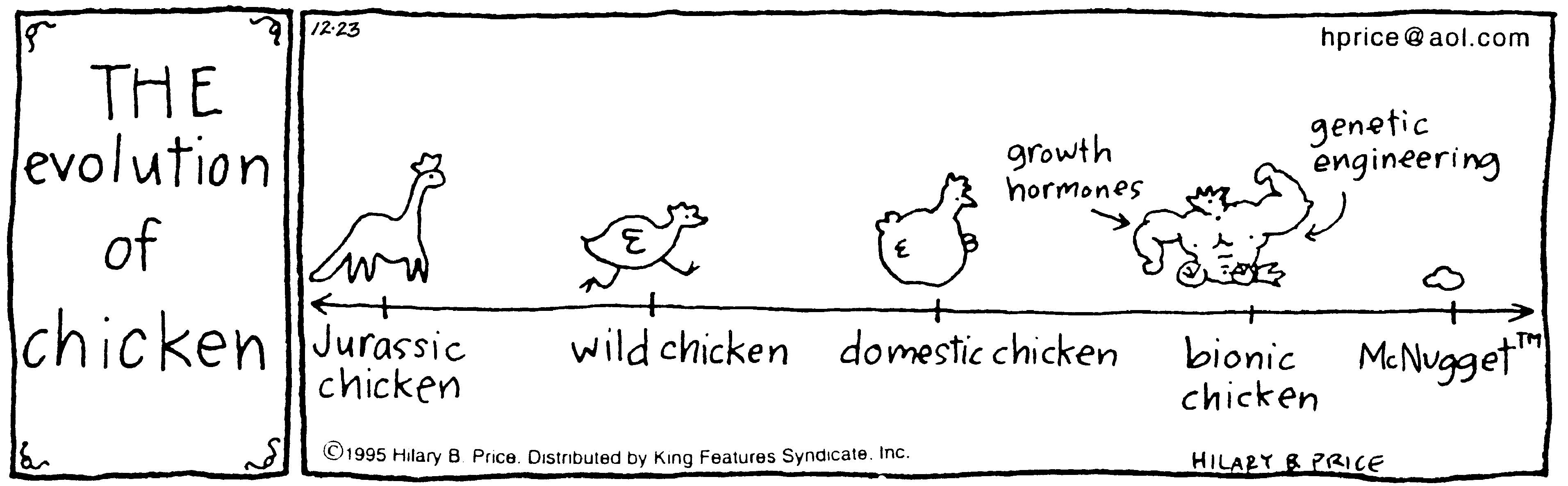 Cartoon OCR: 12-23 hprice@ aol.com THE levolution genetic engineering growth hormones of IchickenJurassic chicken bionic McNugget"| chicken wild chicken domestic chicken ©1995 Hilary 8. Price. Distributed by King Features Syndicate. Inc. HILARY B PRICE 12-23 hprice@ aol.com THE levolution genetic engineering growth hormones of IchickenJurassic chicken bionic McNugget"| chicken wild chicken domestic chicken ©1995 Hilary 8. Price. Distributed by King Features Syndicate. Inc. HILARY B PRICE