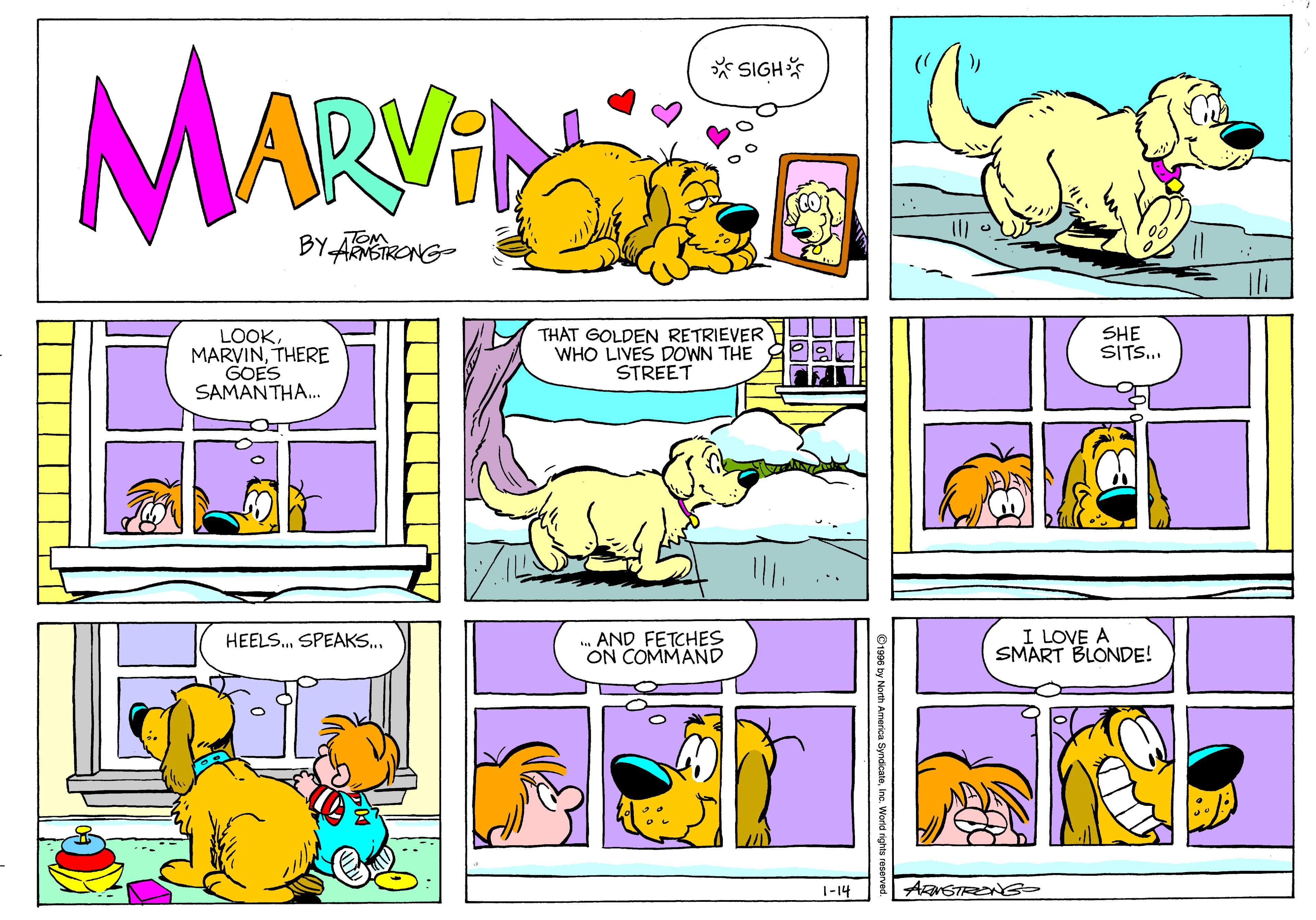 Mammal OCR: MARVI * SIGH* BYARMSTRONG LOOKTHERE GOES SAMANTHA. THAT GOLDEN RETRIEVER WHO LIVES DOWN THE STREET SHE SITS. AND FETCHES ON COMMAND I LOVE A SMART BLONDE! HEELS. SPEAKS. 1-14 ARaNSTRRENG MARVI * SIGH* BYARMSTRONG LOOKTHERE GOES SAMANTHA. THAT GOLDEN RETRIEVER WHO LIVES DOWN THE STREET SHE SITS. AND FETCHES ON COMMAND I LOVE A SMART BLONDE! HEELS. SPEAKS. 1-14 ARaNSTRRENG
