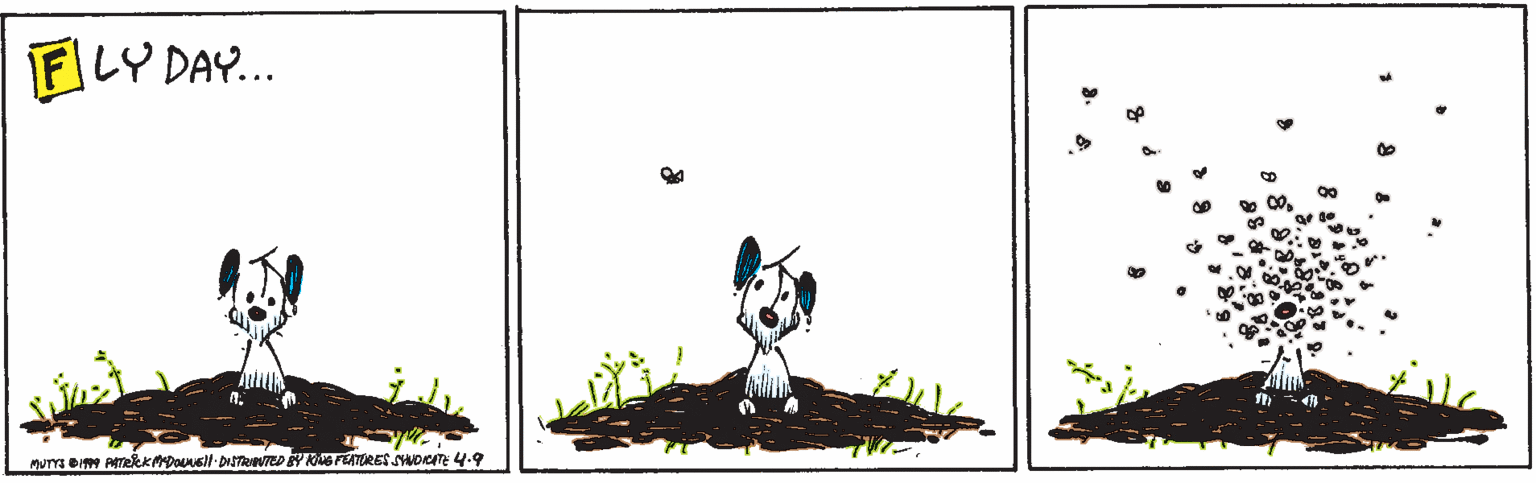 Drawing OCR: FLY DAY. FLY DAY.