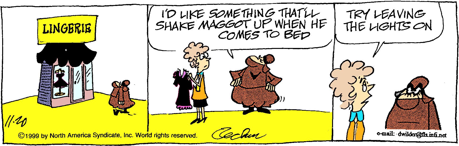 Rectangle OCR: I'D LIKE SOMETHING THATLL SHAKE MAGGOT UP WHEN HE COMES TO BED TRY LEAVING THE LIGHTS ON LINGERIE ©1999 by North Armerica SyndicateInc. World rights reserved. Cechun omtil: - dwilder@a infinct I'D LIKE SOMETHING THATLL SHAKE MAGGOT UP WHEN HE COMES TO BED TRY LEAVING THE LIGHTS ON LINGERIE ©1999 by North Armerica SyndicateInc. World rights reserved. Cechun omtil: - dwilder@a infinct