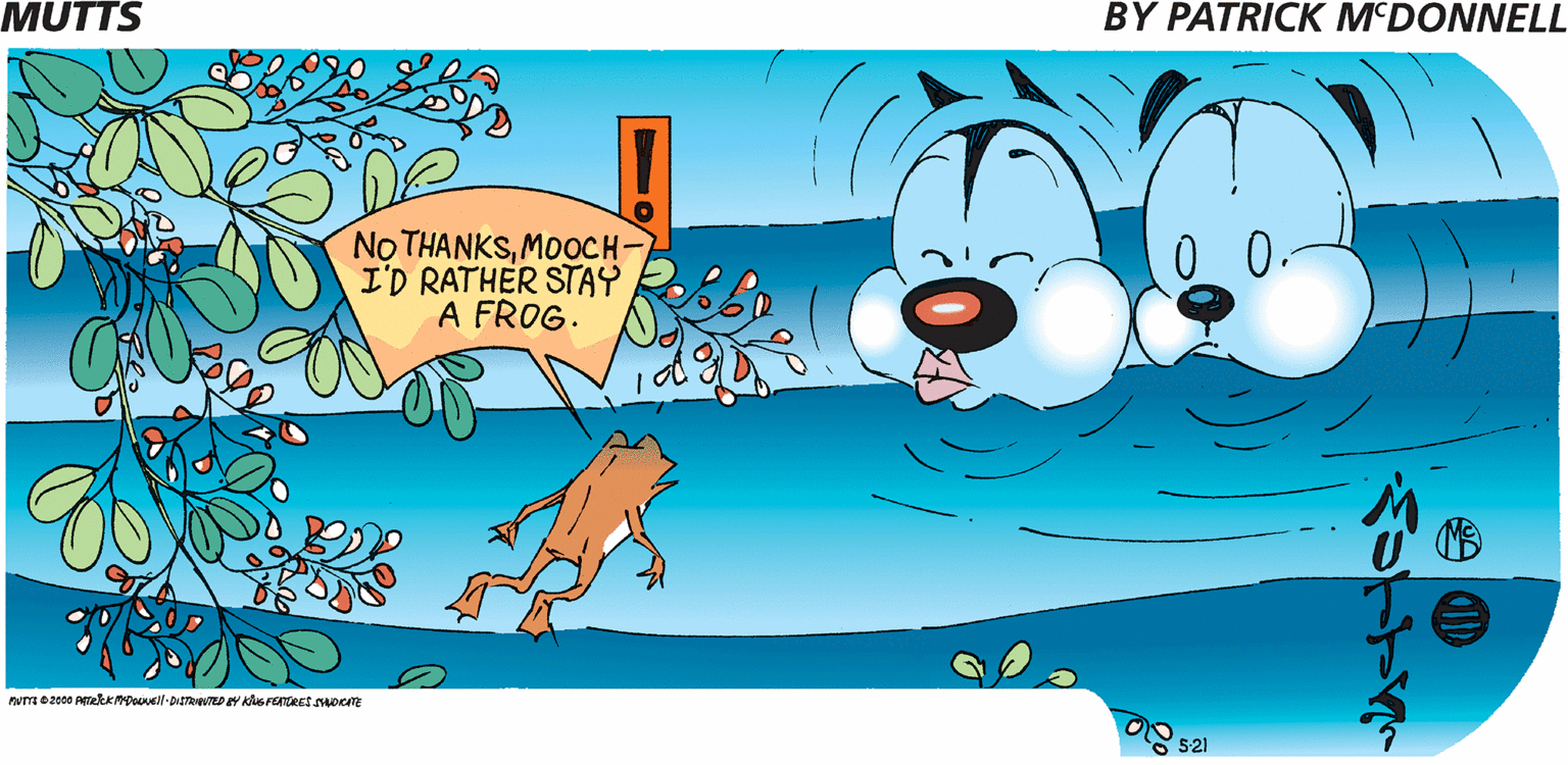 Art OCR: MUTTS BY PATRICK M'DONNELL No THANKSMOOCH I'D RATHER STAY A FROG. 0 0- 521 MUTTS BY PATRICK M'DONNELL No THANKSMOOCH I'D RATHER STAY A FROG. 0 0- 521