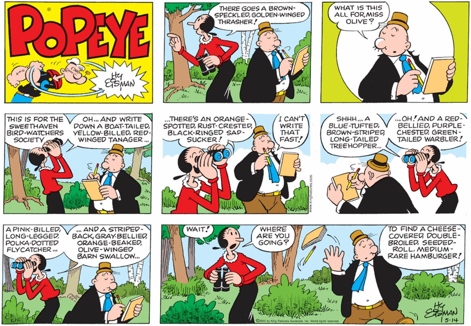 Comic book OCR: POPEYE THERE GOES A BROWN- SPECKLEDGOLDEN-WINGED THRASHER! WHAT IS THIS ALL FORMISS OLIVE? ESMAN I CAN'T THIS IS FOR THE SWEETHAVEN BIRD-WATCHERS SOCIETY OH.. AND WRITE DOWN A BOAT-TAILEDRED- WINGED TANAGER .. ..THERE'S AN ORANGE- SPOTTEDBLACK-RINGED SAP- SUCKER! WRITE THAT FAST! SHHH... A BLUE-TUFTEDLONG-TAILED TREEHOPPER. ... OH!AND A RED- BELLIEDPURPLE- CHESTEDGREEN- TAILED WARBLER! .. AND A STRIPED- BACKOLIVE-WINGED BARN SWALLOW. TO FIND A CHEESE - COVERED DOUBLE- BROILEDSEEDED- ROLLMEDIUM - RARE HAMBURGER! WAIT! A PINK-BILLEDLONG-LEGGED POLKA-DOTTED FLYCATCHER .. WHERE ARE YOU GOING? wet 2000 by King Features SyndicateInc Worid rights resenved. 5-14 POPEYE THERE GOES A BROWN- SPECKLEDGOLDEN-WINGED THRASHER! WHAT IS THIS ALL FORMISS OLIVE? ESMAN I CAN'T THIS IS FOR THE SWEETHAVEN BIRD-WATCHERS SOCIETY OH.. AND WRITE DOWN A BOAT-TAILEDRED- WINGED TANAGER .. ..THERE'S AN ORANGE- SPOTTEDBLACK-RINGED SAP- SUCKER! WRITE THAT FAST! SHHH... A BLUE-TUFTEDLONG-TAILED TREEHOPPER. ... OH!AND A RED- BELLIEDPURPLE- CHESTEDGREEN- TAILED WARBLER! .. AND A STRIPED- BACKOLIVE-WINGED BARN SWALLOW. TO FIND A CHEESE - COVERED DOUBLE- BROILEDSEEDED- ROLLMEDIUM - RARE HAMBURGER! WAIT! A PINK-BILLEDLONG-LEGGED POLKA-DOTTED FLYCATCHER .. WHERE ARE YOU GOING? wet 2000 by King Features SyndicateInc Worid rights resenved. 5-14