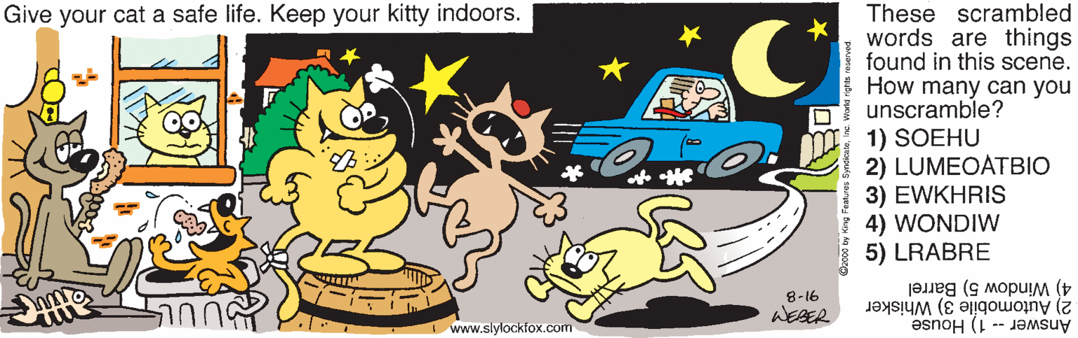 Carnivore OCR: These scrambled words are things found in this scene. I How many can you I unscramble? 1) SOEHU 2) LUMEOÁTBIO 3) EWKHRIS 4) WONDIW 5) LRABRE Give your cat a safe life. Keep your kitty indoors. 4) Window 5) Barrel 8-16 2) Automobile 3) Whisker Answer - 1) House WESER I www.slylockfox.com These scrambled words are things found in this scene. I How many can you I unscramble? 1) SOEHU 2) LUMEOÁTBIO 3) EWKHRIS 4) WONDIW 5) LRABRE Give your cat a safe life. Keep your kitty indoors. 4) Window 5) Barrel 8-16 2) Automobile 3) Whisker Answer - 1) House WESER I www.slylockfox.com