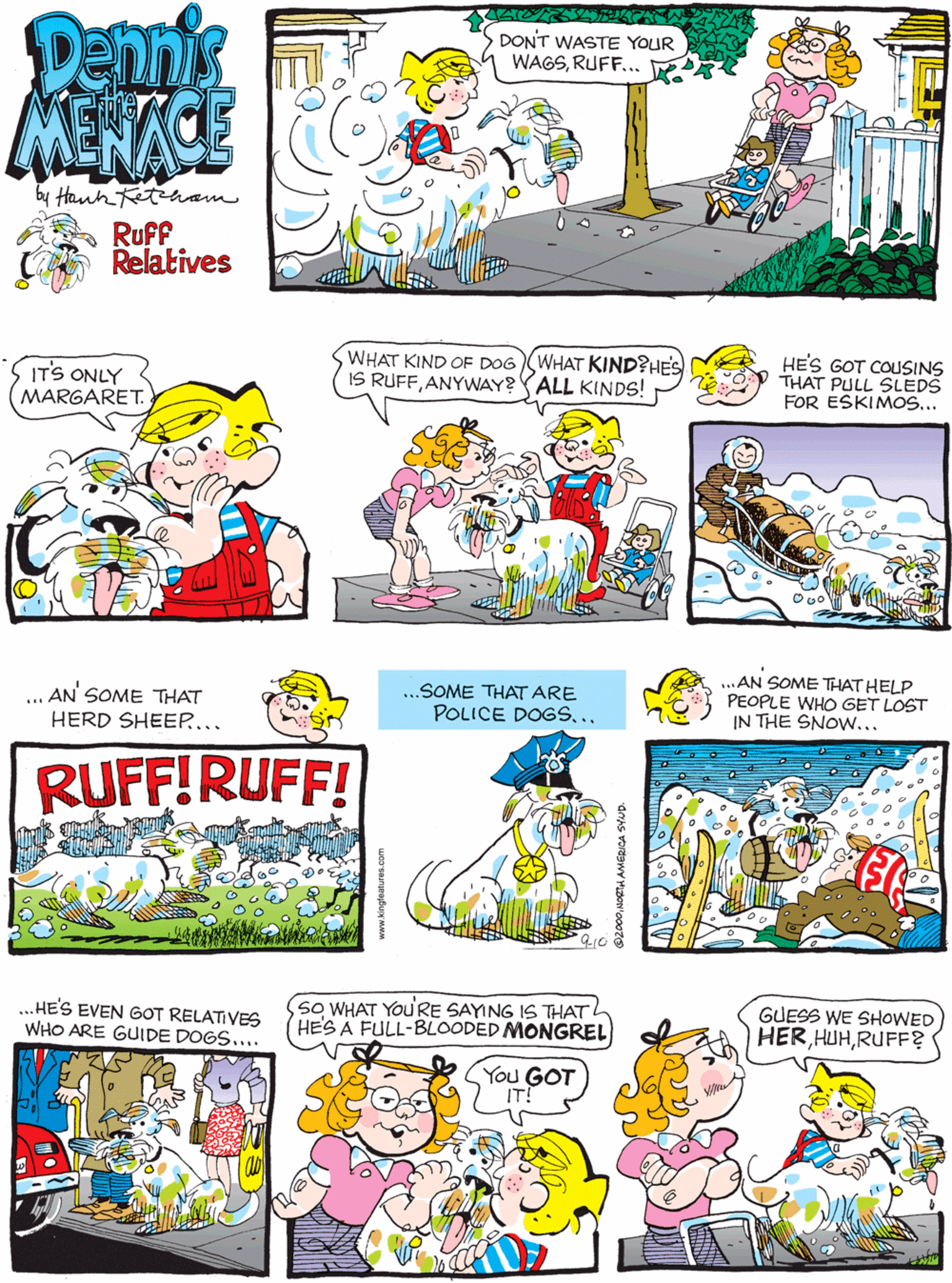 Fiction OCR: Dehnis MENACE ITS ONLY DONT WASTE YOUR WAGSRUFF... MARGARET. by Hanhetam Ruff Relatives WHAT KIND OF DOG(WHAT KIND?HES IS RUFFANYWAY?(ALL KINDS! HES GOT COUSINS Y THAT PULL SLEDS FOR ESKIMOS... .SOME THAT ARE POLICE DOGS.. ... AN SOME THAT HERD SHEEP.... RUFF!RUFF! so WHAT You'RE SAYING IS THAT HE'S A FULL-BLOODED MONGREL GUESS WE SHOWED ...AN SOME THAT HELP PEOPLE WHO GET LOST IN THE SNOW... .HE'S EVEN GOT RELATIVES WHO ARE GUIDE DOGS.... HERRUFF? You GOT IT! Dehnis MENACE ITS ONLY DONT WASTE YOUR WAGSRUFF... MARGARET. by Hanhetam Ruff Relatives WHAT KIND OF DOG(WHAT KIND?HES IS RUFFANYWAY?(ALL KINDS! HES GOT COUSINS Y THAT PULL SLEDS FOR ESKIMOS... .SOME THAT ARE POLICE DOGS.. ... AN SOME THAT HERD SHEEP.... RUFF!RUFF! so WHAT You'RE SAYING IS THAT HE'S A FULL-BLOODED MONGREL GUESS WE SHOWED ...AN SOME THAT HELP PEOPLE WHO GET LOST IN THE SNOW... .HE'S EVEN GOT RELATIVES WHO ARE GUIDE DOGS.... HERRUFF? You GOT IT!