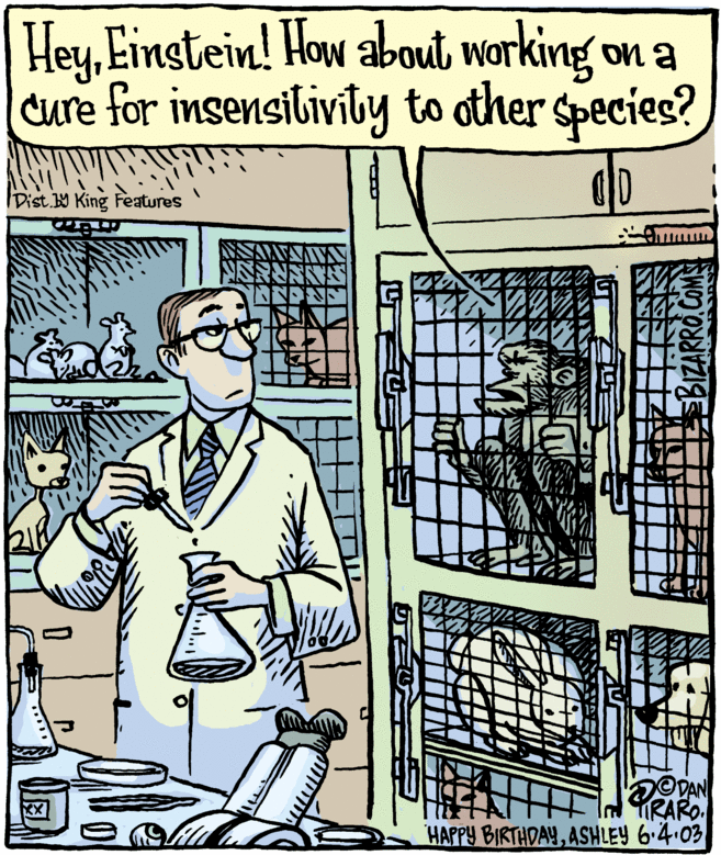 Drawing OCR: HeyEinstein! How about working on a cure for insensiliviby to other species? Dist. W King Features HAPPY BIRTHDAYASHLEY 6-4.03 HeyEinstein! How about working on a cure for insensiliviby to other species? Dist. W King Features HAPPY BIRTHDAYASHLEY 6-4.03