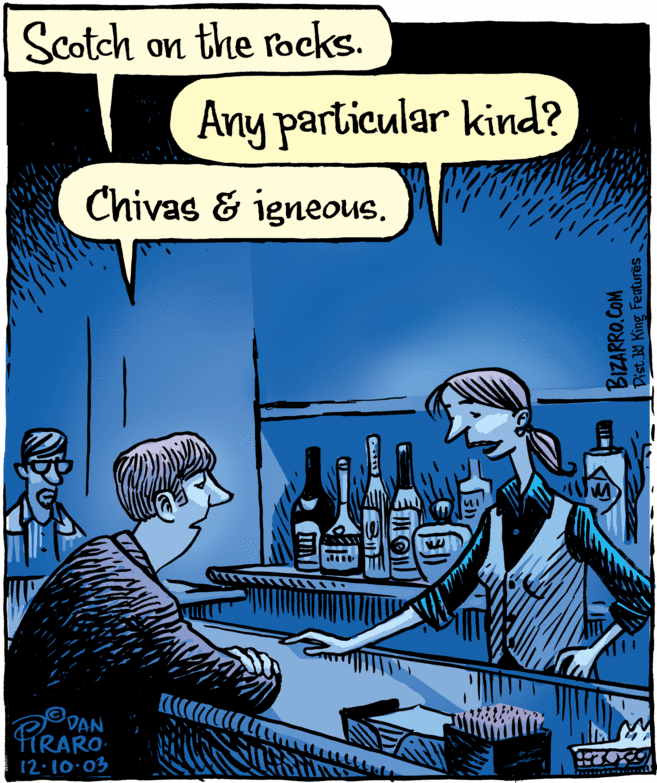 Illustration OCR: Scotch on the rocks. Any particular kind? Chivas & igneous. PRAN 12:10.03 RALLHAN BIZARRO.COM Dist.W King Featurès . Scotch on the rocks. Any particular kind? Chivas & igneous. PRAN 12:10.03 RALLHAN BIZARRO.COM Dist.W King Featurès .