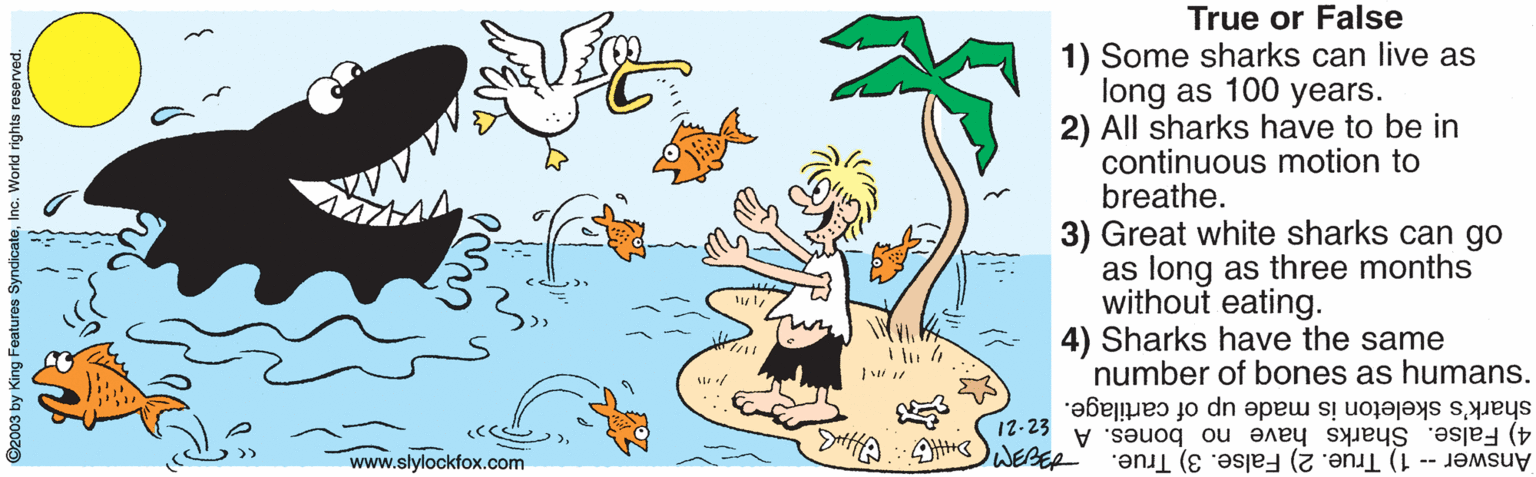 Happy OCR: True or False 1) Some sharks can live as long as 100 years. 2) All sharks have to be in continuous motion to breathe. 3) Great white sharks can go as long as three months without eating. Sharks have the same number of bones as humans. shark's skeleton is made up of cartilage. 12-23 SHHA SWEBER 4) False. Sharks have no bones. A Answer- 1) True. 2) False. 3) True. www.slylockfox.com ©2003 by K True or False 1) Some sharks can live as long as 100 years. 2) All sharks have to be in continuous motion to breathe. 3) Great white sharks can go as long as three months without eating. Sharks have the same number of bones as humans. shark's skeleton is made up of cartilage. 12-23 SHHA SWEBER 4) False. Sharks have no bones. A Answer- 1) True. 2) False. 3) True. www.slylockfox.com ©2003 by K