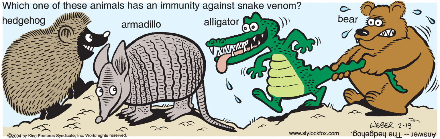 Terrestrial plant OCR: Which one of these animals has an immunity against snake venom? hedgehog armadillo alligator bear WEBER 2-19 www.slylockfox.com ©2004 by King Features SyndicateInc. World rights reserved. Answer -- The hedgehog. Which one of these animals has an immunity against snake venom? hedgehog armadillo alligator bear WEBER 2-19 www.slylockfox.com ©2004 by King Features SyndicateInc. World rights reserved. Answer -- The hedgehog.