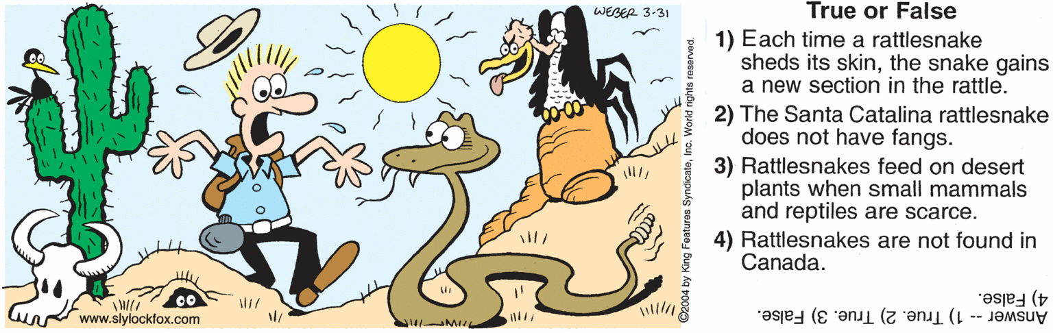 Art OCR: True or False 1) Each time a rattlesnake sheds its skinthe snake gains a new section in the rattle. WEBER 3-31 2) The Santa Catalina rattlesnake does not have fangs. 3) Rattlesnakes feed on desert plants when small mammals and reptiles are scarce. 4) Rattlesnakes are not found in Canada. Answer - 1) True. 2) True. 3) False. 4) False. www.slylockfox.com ili Features True or False 1) Each time a rattlesnake sheds its skinthe snake gains a new section in the rattle. WEBER 3-31 2) The Santa Catalina rattlesnake does not have fangs. 3) Rattlesnakes feed on desert plants when small mammals and reptiles are scarce. 4) Rattlesnakes are not found in Canada. Answer - 1) True. 2) True. 3) False. 4) False. www.slylockfox.com ili Features