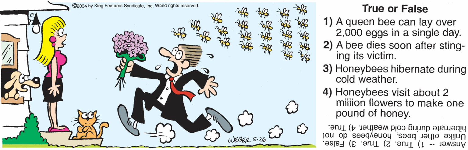 Clip art OCR: ©2004 by King Features SyndicateInc. World rights reserved. True or False 1) A queen bee can lay over 2000 eggs in a single day. 2) A bee dies soon after sting- ing its victim. 3) Honeybees hibernate during cold weather. 4) Honeybees visit about 2 million flowers to make one pound of honey. hibernate during cold weather. 4) True. Unlike other beeshoneybees do not Answer -- 1) True. 2) True. 3) False. WEBER 5-26 **** **** ©2004 by King Features SyndicateInc. World rights reserved. True or False 1) A queen bee can lay over 2000 eggs in a single day. 2) A bee dies soon after sting- ing its victim. 3) Honeybees hibernate during cold weather. 4) Honeybees visit about 2 million flowers to make one pound of honey. hibernate during cold weather. 4) True. Unlike other beeshoneybees do not Answer -- 1) True. 2) True. 3) False. WEBER 5-26 **** ****