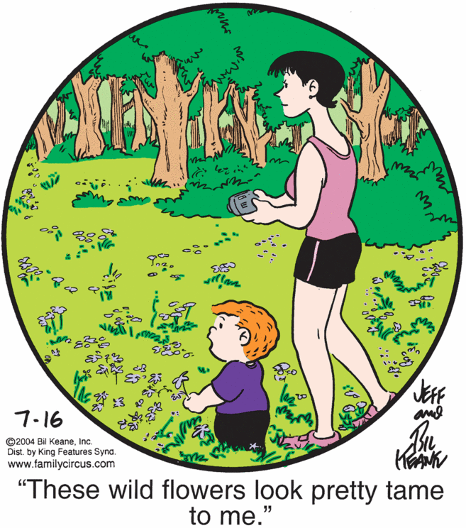Tree OCR: leg 7-16 and ©2004 Bil KeaneInc. Dist. by King Features Synd. www.familycircus.com "These wild flowers look pretty tame to me." leg 7-16 and ©2004 Bil KeaneInc. Dist. by King Features Synd. www.familycircus.com "These wild flowers look pretty tame to me."