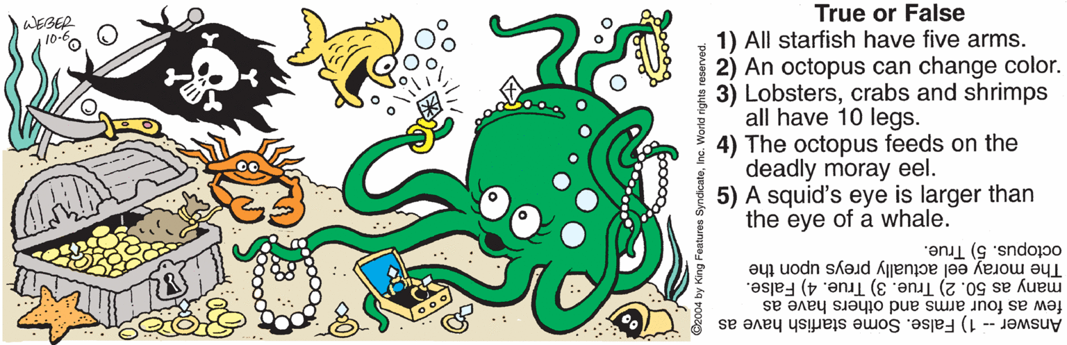 Clip art OCR: True or False WEBER 10-6 1) All starfish have five arms. 2) An octopus can change color. 3) Lobsterscrabs and shrimps all have 10 legs. 4) The octopus feeds on the deadly moray eel. 5) A squid's eye is larger than the eye of a whale. octopus. 5) True. The moray eel actually preys upon the many as 50. 2) True. 3) True. 4) False. few as four arms and others have as Answer -- 1) False. Some starfish have as SyndicateInc orld rights reserved. True or False WEBER 10-6 1) All starfish have five arms. 2) An octopus can change color. 3) Lobsterscrabs and shrimps all have 10 legs. 4) The octopus feeds on the deadly moray eel. 5) A squid's eye is larger than the eye of a whale. octopus. 5) True. The moray eel actually preys upon the many as 50. 2) True. 3) True. 4) False. few as four arms and others have as Answer -- 1) False. Some starfish have as SyndicateInc orld rights reserved.