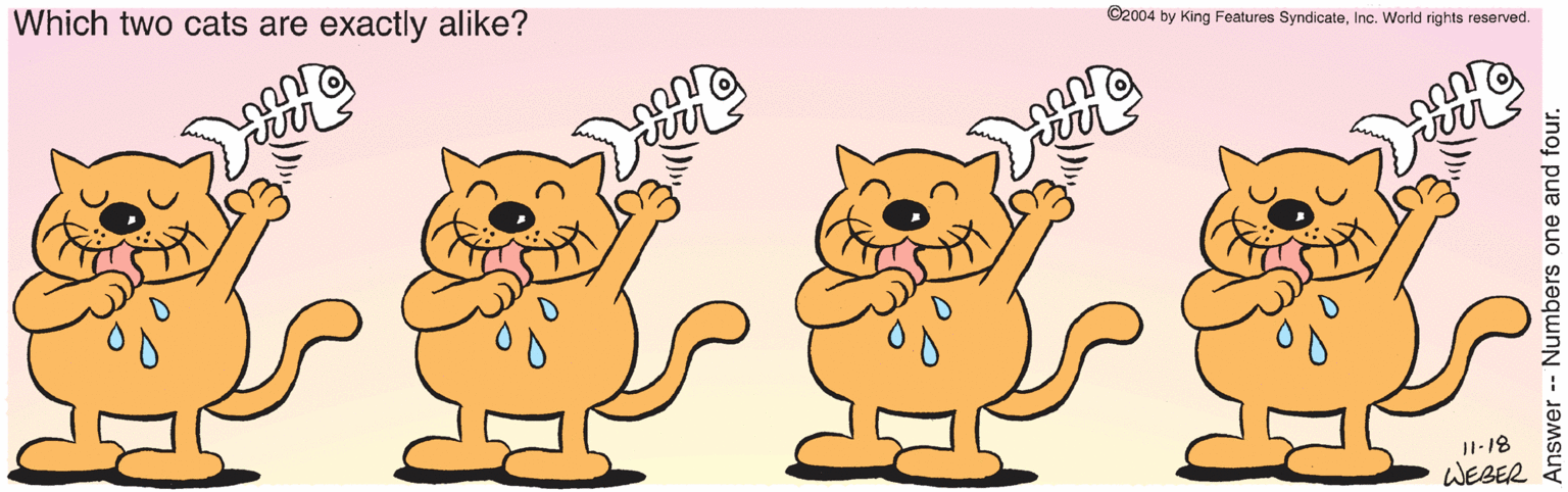 Mammal OCR: Which two cats are exactly alike? ©2004 by King Features SyndicateInc. World rights reserved. I1-18 WEBER Answer - Numbers one and four. Which two cats are exactly alike? ©2004 by King Features SyndicateInc. World rights reserved. I1-18 WEBER Answer - Numbers one and four.