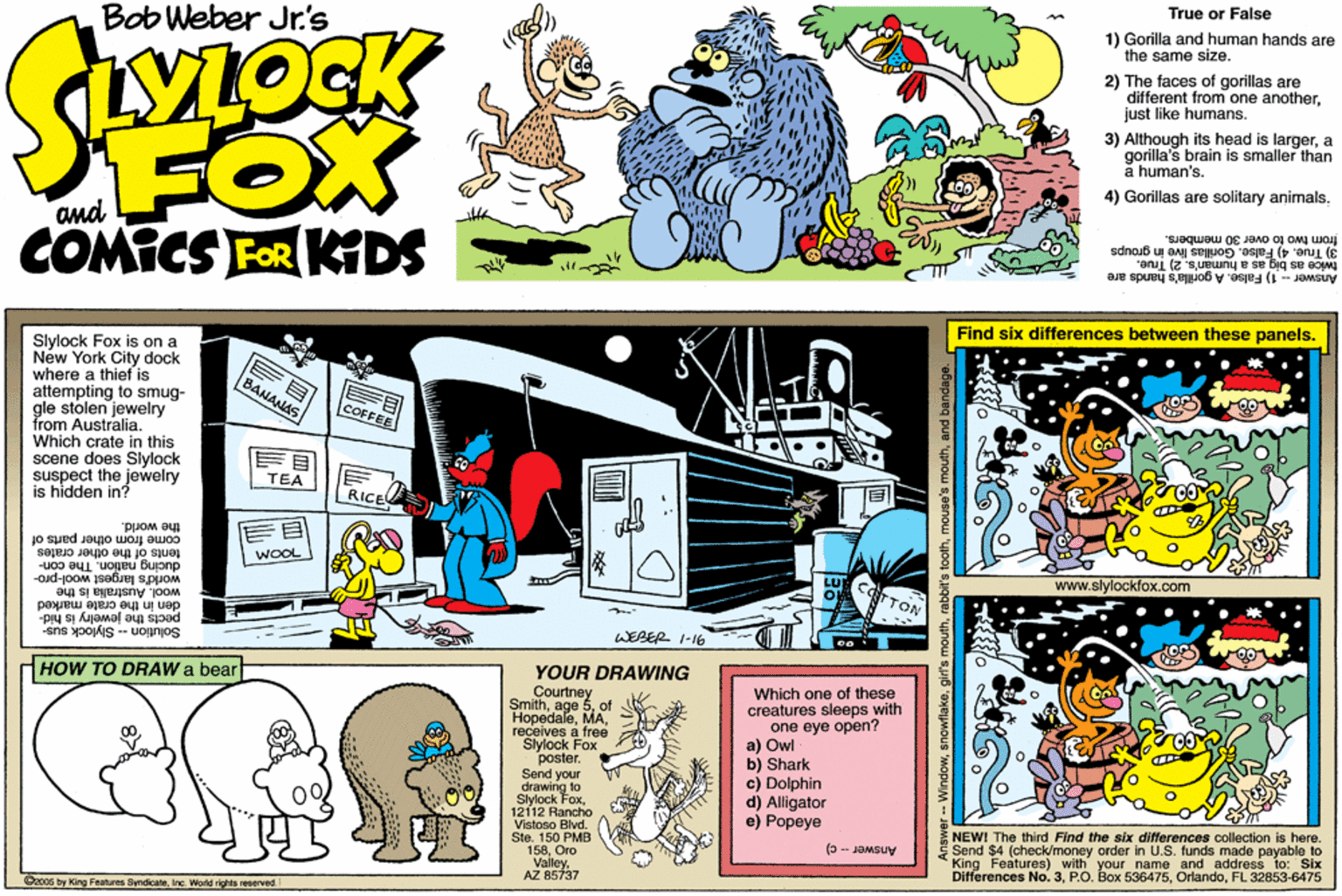 Fictional character OCR: True or False Bob Weber Jr's 1) Gorilla and human hands are the same size. YLOCK 2) The faces of gorillas are different from one anotherjust like hurnans. FOX COMICS FOR KDS 3) Although its head is largera gorilla's brain is smaller than a human's. 4) Gorillas are solitary animals. from two to aver 30 members. 3) True. 4) False. Gorillas live ir twice as big as a human's. 2) True. Answer - 1) False. A gorilla's hands are sdnob u Find six differences between these panels. Slylock Fox is on a New York City dock where a thief is attempting to smug- gle stolen jewelry from Australia. Which crate in this scene does Slylock suspect the jewelry is hidden in? BANANAS COFFEE F? TEA LRICE "PHOM ay come from other parts of ? WOOL tents of the other crates ducing nation. The con- world's largest wool-pro- wool. Australa is the www.slylockfox.com TTON den in the crate marked pects the jewelry is hid- Solution -- Sllock sus- WEBER 1-16 HOW TO DRAW a bear YOUR DRAWING Courtney Smithof Hopedalereceives a free Slylock Fox poster. Send your drawing to Siylock Fox1212 Rancho Vistoso Blvd. Ste. 150 PMB 158Oro ValleyAZ 85737 Which one of these creatures sleeps with one eye open? a) Owl b) Shark c) Dolphin d) Aligator e) Popeye NEW! The third Find the six differences collection is here. Send $4 (check/money order in U.S. funds made payable to King Features) with your name and address to: Slx Differences No. 3(5 -- JOMBUV do. FL 32853-6475 Dzo0s by King Foatures SyndoateIne. World rights reserved WindowTrue or False Bob Weber Jr's 1) Gorilla and human hands are the same size. YLOCK 2) The faces of gorillas are different from one anotherjust like hurnans. FOX COMICS FOR KDS 3) Although its head is largera gorilla's brain is smaller than a human's. 4) Gorillas are solitary animals. from two to aver 30 members. 3) True. 4) False. Gorillas live ir twice as big as a human's. 2) True. Answer - 1) False. A gorilla's hands are sdnob u Find six differences between these panels. Slylock Fox is on a New York City dock where a thief is attempting to smug- gle stolen jewelry from Australia. Which crate in this scene does Slylock suspect the jewelry is hidden in? BANANAS COFFEE F ? TEA LRICE "PHOM ay come from other parts of ? WOOL tents of the other crates ducing nation. The con- world's largest wool-pro- wool. Australa is the www.slylockfox.com TTON den in the crate marked pects the jewelry is hid- Solution -- Sllock sus- WEBER 1-16 HOW TO DRAW a bear YOUR DRAWING Courtney Smithage 5of Hopedalereceives a free Slylock Fox poster. Send your drawing to Siylock Fox1212 Rancho Vistoso Blvd. Ste. 150 PMB 158Oro ValleyAZ 85737 Which one of these creatures sleeps with one eye open? a) Owl b) Shark c) Dolphin d) Aligator e) Popeye NEW! The third Find the six differences collection is here. Send $4 (check/money order in U.S. funds made payable to King Features) with your name and address to: Slx Differences No. 3P.O. Box 536475(5 -- JOMBUV do. FL 32853-6475 Dzo0s by King Foatures SyndoateIne. World rights reserved Window