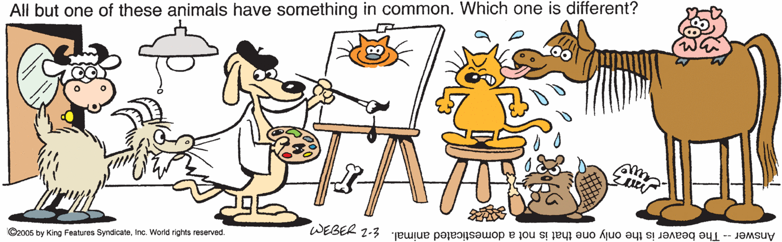 Clip art OCR: All but one of these animals have something in common. Which one is different? ©2005 by King Features SyndicateInc. World rights reserved. Answer - The beaver is the only one that is not a domesticated animal. -z z99aM All but one of these animals have something in common. Which one is different? ©2005 by King Features SyndicateInc. World rights reserved. Answer - The beaver is the only one that is not a domesticated animal. -z z99aM