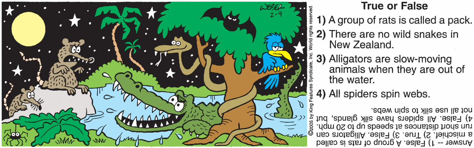 Drawing OCR: True or False WESER 2-9 1) A group of rats is called a pack. 2) There are no wild snakes in New Zealand. 3) Alligators are slow-moving animals when they are out of the water. 4) All spiders spin webs. not all use silk to spin webs. run short distances at speeds up to 20 mph. a mischief. 2) True. 3) False. Alligators can Answer -- 1) False. A group of rats is called 4) False. All spiders have silk glandsbut True or False WESER 2-9 1) A group of rats is called a pack. 2) There are no wild snakes in New Zealand. 3) Alligators are slow-moving animals when they are out of the water. 4) All spiders spin webs. not all use silk to spin webs. run short distances at speeds up to 20 mph. a mischief. 2) True. 3) False. Alligators can Answer -- 1) False. A group of rats is called 4) False. All spiders have silk glands