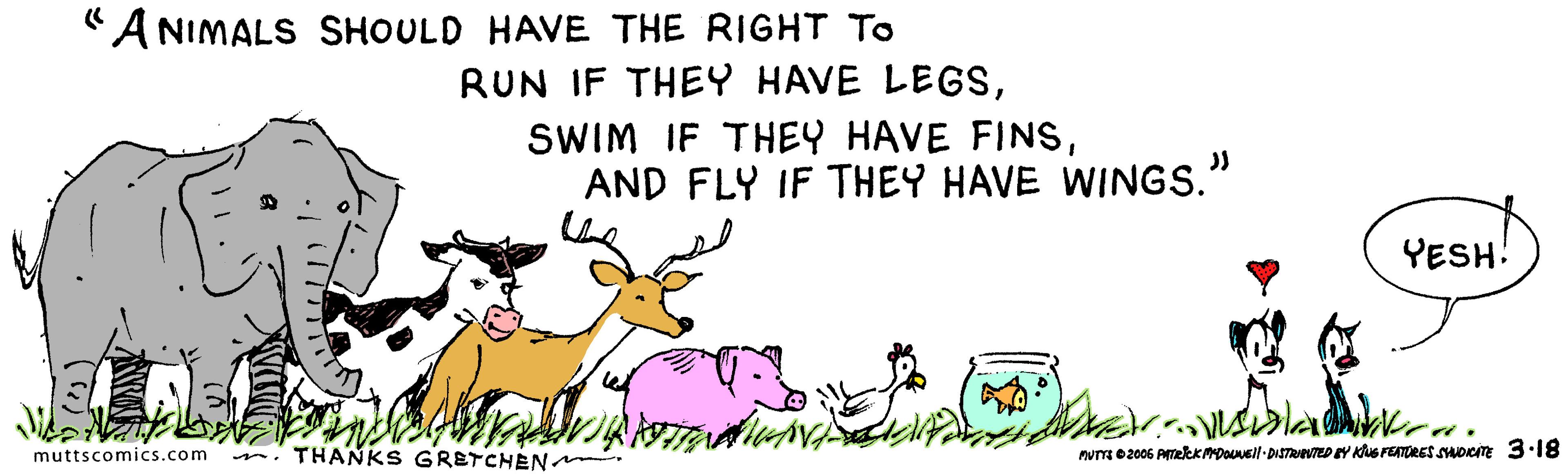 Terrestrial animal OCR: "A NIMALS SHOULD HAVE THE RIGHT To RUN IF THEY HAVE LEGSAND FLY IF THEY HAVE WINGS." YESH! n. THANKS GRETCHEN. MuT 02006 PekkmDouNeil-DISTRNTED Y Kue FEATORES SHOKTE 3·1 muttscomics.com "A NIMALS SHOULD HAVE THE RIGHT To RUN IF THEY HAVE LEGSSWIM IF THEY HAVE FINSAND FLY IF THEY HAVE WINGS." YESH! n. THANKS GRETCHEN. MuT 02006 PekkmDouNeil-DISTRNTED Y Kue FEATORES SHOKTE 3·1 muttscomics.com