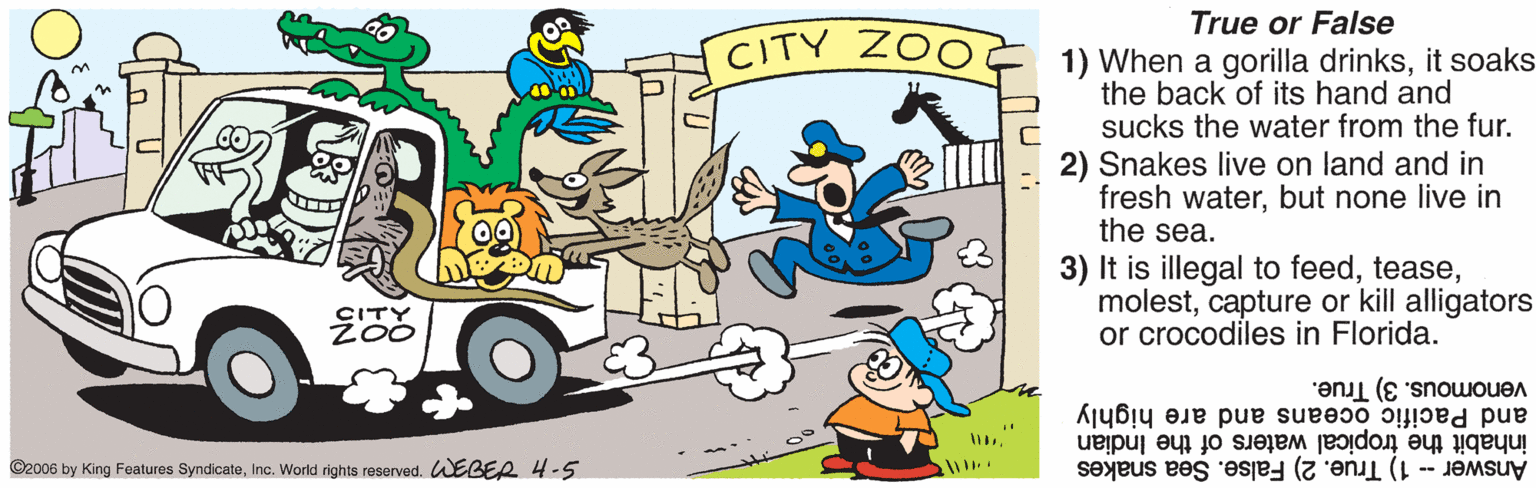 Motor vehicle OCR: True or False CITY ZOO 1) When a gorilla drinksit soaks the back of its hand and sucks the water from the fur. 2) Snakes live on land and in fresh waterbut none live in the sea. 3) It is illegal to feedcapture or kill alligators or crocodiles in Florida. venomous. 3) True. and Pacific oceans and are highly inhabit the tropical waters of the Indian Answer - 1) True. 2) False. Sea snakes ©2006 by King Features SyndicateInc. World rights reserved. WEBER 4.5 True or False CITY ZOO 1) When a gorilla drinksit soaks the back of its hand and sucks the water from the fur. 2) Snakes live on land and in fresh waterbut none live in the sea. 3) It is illegal to feedcapture or kill alligators or crocodiles in Florida. venomous. 3) True. and Pacific oceans and are highly inhabit the tropical waters of the Indian Answer - 1) True. 2) False. Sea snakes ©2006 by King Features SyndicateInc. World rights reserved. WEBER 4.5