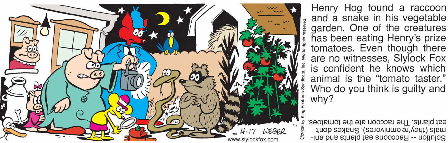 Art OCR: Henry Hog found a raccoon and a snake in his vegetable garden. One of the creatures has been eating Henry's prize tomatoes. Even though there are no witnessesSlylock Fox is confident he knows which animal is the "tomato taster." Who do you think is guilty and why? 00 eat plants. The raccoon ate the tomatoes. mals (they're omnivores). Snakes don't 4-17 WEBER www.slylockfox.com Solution -- Raccoons eat plants and ani- Henry Hog found a raccoon and a snake in his vegetable garden. One of the creatures has been eating Henry's prize tomatoes. Even though there are no witnessesSlylock Fox is confident he knows which animal is the "tomato taster." Who do you think is guilty and why? 00 eat plants. The raccoon ate the tomatoes. mals (they're omnivores). Snakes don't 4-17 WEBER www.slylockfox.com Solution -- Raccoons eat plants and ani-