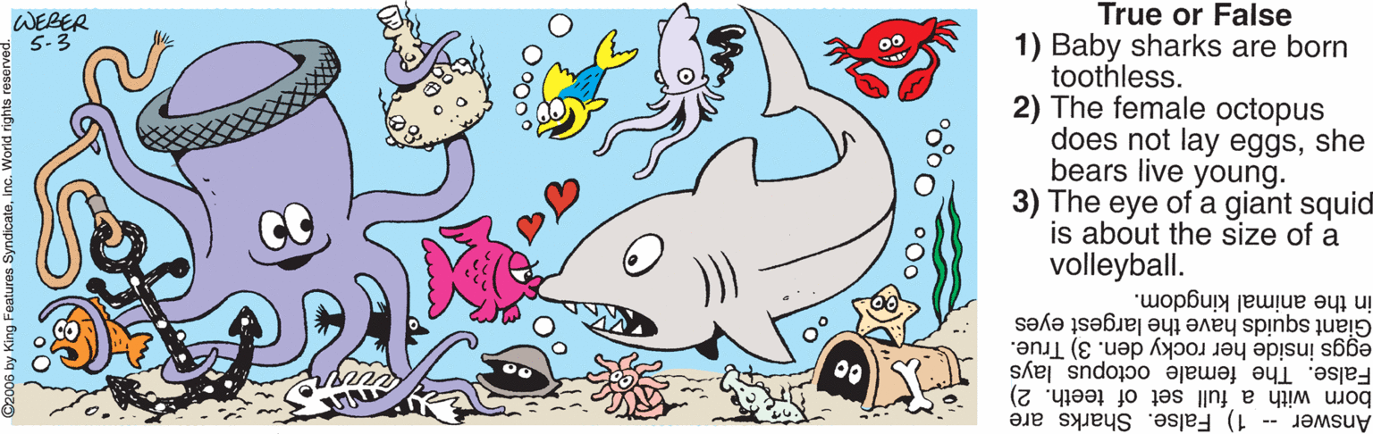 Happy OCR: True or False 1) Baby sharks are born toothless. 2) The female octopus does not lay eggsshe bears live young. 3) The eye of a giant squid is about the size of a volleyball. WEBER 5-3 CO in the animal kingdom. Giant squids have the largest eyes eggs inside her rocky den. 3) True. born with a full set of teeth. 2) False. The female octopus lays Answer -- 1) False. Sharks are °000 000 O 000 True or False 1) Baby sharks are born toothless. 2) The female octopus does not lay eggsshe bears live young. 3) The eye of a giant squid is about the size of a volleyball. WEBER 5-3 CO in the animal kingdom. Giant squids have the largest eyes eggs inside her rocky den. 3) True. born with a full set of teeth. 2) False. The female octopus lays Answer -- 1) False. Sharks are °000 000 O 000