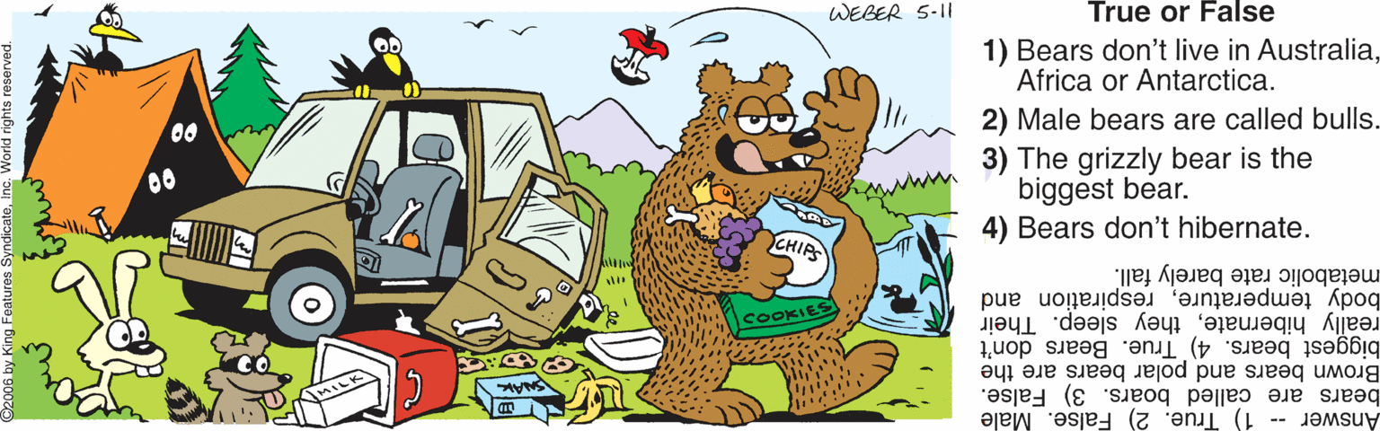 Paw OCR: WEBER 5-11 True or False 1) Bears don't live in AustraliaAfrica or Antarctica. 2) Male bears are called bulls. 3) The grizzly bear is the biggest bear. 4) Bears don't hibernate. YCHIPS metabolic rate barely fall. body temperaturerespiration and COOKIES really hibernatethey sleep. Their Brown bears and polar bears are the biggest bears. 4) True. Bears don't Answer 1) True. 2) False. Male bears are called boars. 3) False. WEBER 5-11 True or False 1) Bears don't live in AustraliaAfrica or Antarctica. 2) Male bears are called bulls. 3) The grizzly bear is the biggest bear. 4) Bears don't hibernate. YCHIPS metabolic rate barely fall. body temperaturerespiration and COOKIES really hibernatethey sleep. Their Brown bears and polar bears are the biggest bears. 4) True. Bears don't Answer 1) True. 2) False. Male bears are called boars. 3) False.
