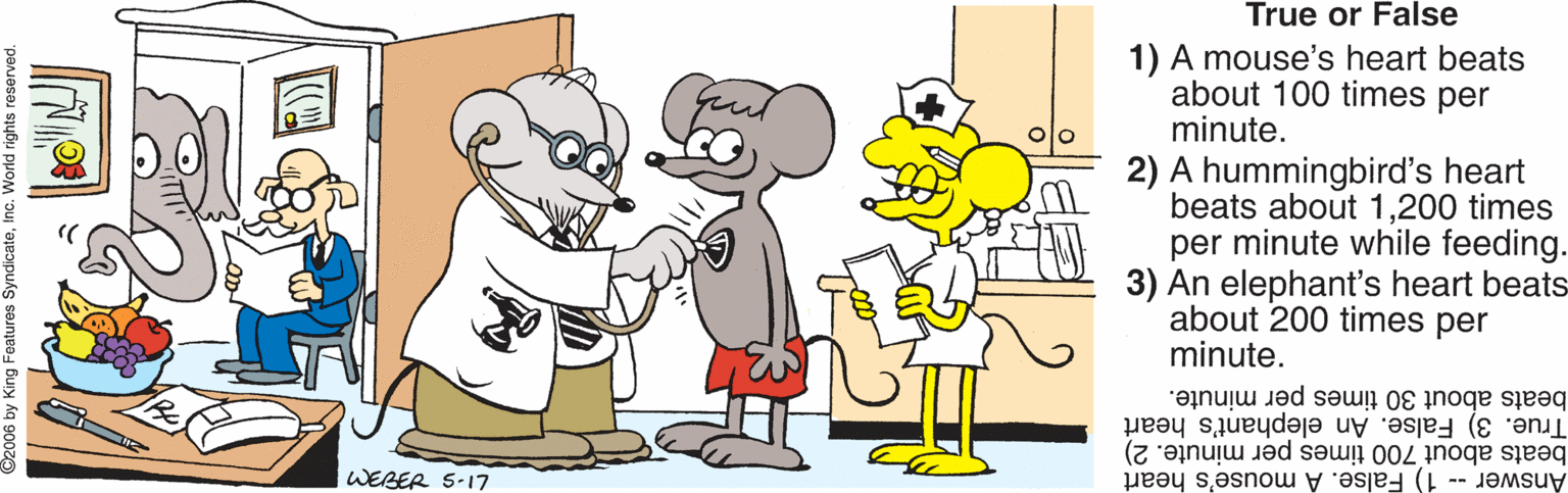 Graphics OCR: True or False 1) A mouse's heart beats about 100 times per minute. 2) A hummingbird's heart beats about 1200 times per minute while feeding. 3) An elephant's heart beats about 200 times per minute. beats about 30 times per minute. True. 3) False. An elephant's heart beats about 700 times per minute. 2) Answer 1) False. A mouse's heart WEBER 5-17 True or False 1) A mouse's heart beats about 100 times per minute. 2) A hummingbird's heart beats about 1200 times per minute while feeding. 3) An elephant's heart beats about 200 times per minute. beats about 30 times per minute. True. 3) False. An elephant's heart beats about 700 times per minute. 2) Answer 1) False. A mouse's heart WEBER 5-17