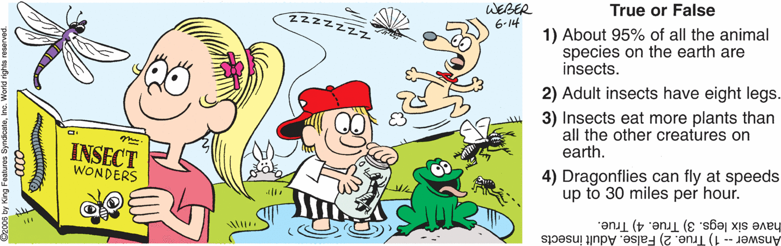 Happy OCR: True or False WEBER 6-14 2zzzzzz 1) About 95% of all the animal species on the earth are insects. 2) Adult insects have eight legs. 3) Insects eat more plants than all the other creatures on earth. INSECT WONDERS 4) Dragonflies can fly at speeds up to 30 miles per hour. have six legs. 3) True. 4) True. Answer - 1) True. 2) False. Adult insects 006 by King Featuros SyndicateInc. World rights reservw True or False WEBER 6-14 2zzzzzz 1) About 95% of all the animal species on the earth are insects. 2) Adult insects have eight legs. 3) Insects eat more plants than all the other creatures on earth. INSECT WONDERS 4) Dragonflies can fly at speeds up to 30 miles per hour. have six legs. 3) True. 4) True. Answer - 1) True. 2) False. Adult insects 006 by King Featuros SyndicateInc. World rights reservw
