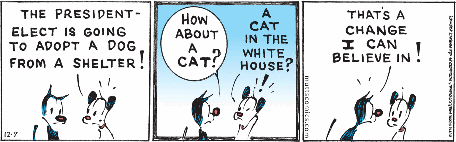 Slope OCR: THE PRESIDENT- THATS A ELECT IS GOING TO ADOPTA DOG FROM A SHELTER! How ABOUT A CAT! CAT IN THE WHITEHOUSE? CHANGE H CAN BELIEVE IN ! 12.9 muttscomics.com THE PRESIDENT- THATS A ELECT IS GOING TO ADOPTA DOG FROM A SHELTER! How ABOUT A CAT! CAT IN THE WHITEHOUSE? CHANGE H CAN BELIEVE IN ! 12.9 muttscomics.com