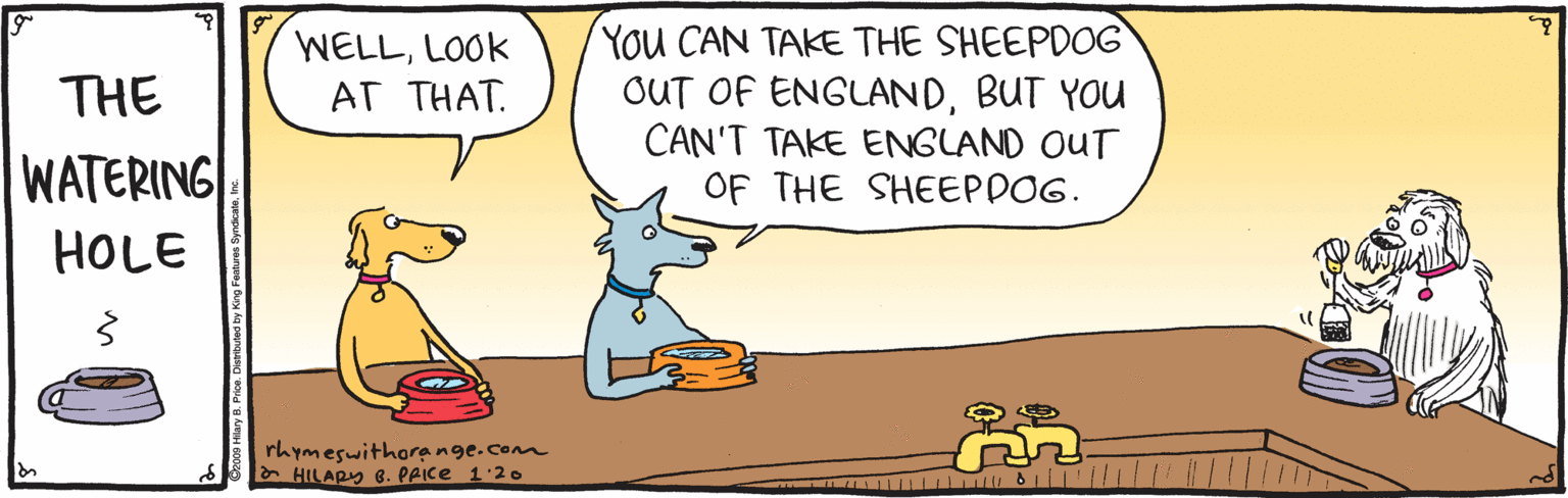 Comics OCR: You CAN TAKE THE SHEEPDOG OUT OF ENGLANDBUT YOU CAN'T TAKE ENGLAND OUT OF THE SHEEPDOG. WELLLOOK AT THAT. THE WATERING HOLE rhymeswithoreange.com E HILAPy 8. PAICE 1:2. ???? You CAN TAKE THE SHEEPDOG OUT OF ENGLANDBUT YOU CAN'T TAKE ENGLAND OUT OF THE SHEEPDOG. WELLLOOK AT THAT. THE WATERING HOLE rhymeswithoreange.com E HILAPy 8. PAICE 1:2. ????