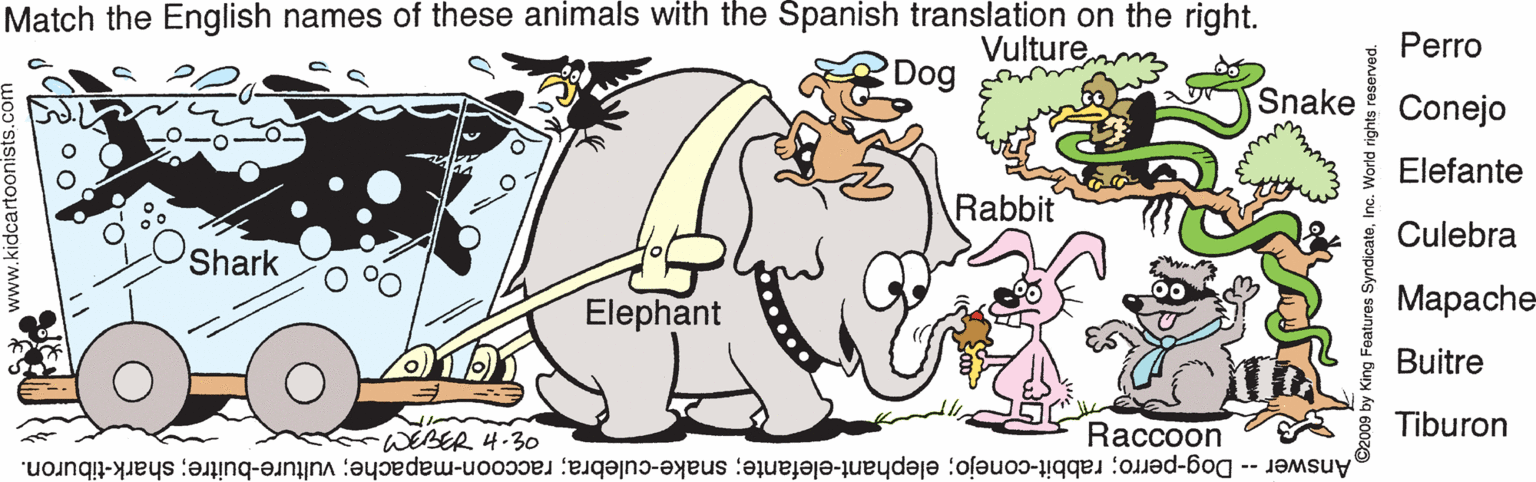 Clip art OCR: Match the English names of these animals with the Spanish translation on the right. Perro Vulture Dog Snake Conejo Elefante Rabbit Culebra Shark ???ache Elephant Buitre Tiburon Raccoon mWEBER 4-30 Answer -- Dog-perro; rabbit-conejo; elephant-elefante; snake-culebra; raccoon-mapache; vulture-buitre; shark-tiburon. atures SyndicateInc. World rights reserved. Match the English names of these animals with the Spanish translation on the right. Perro Vulture Dog Snake Conejo Elefante Rabbit Culebra Shark ???ache Elephant Buitre Tiburon Raccoon mWEBER 4-30 Answer -- Dog-perro; rabbit-conejo; elephant-elefante; snake-culebra; raccoon-mapache; vulture-buitre; shark-tiburon. atures SyndicateInc. World rights reserved.