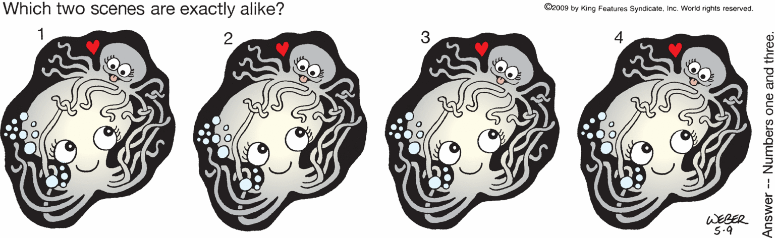Clip art OCR: Which two scenes are exactly alike? ©2009 by King Features SyndicateInc. World rights reserved. 0000 1 2 3 4 WEBER 5.9 Which two scenes are exactly alike? ©2009 by King Features SyndicateInc. World rights reserved. 0000 1 2 3 4 WEBER 5.9