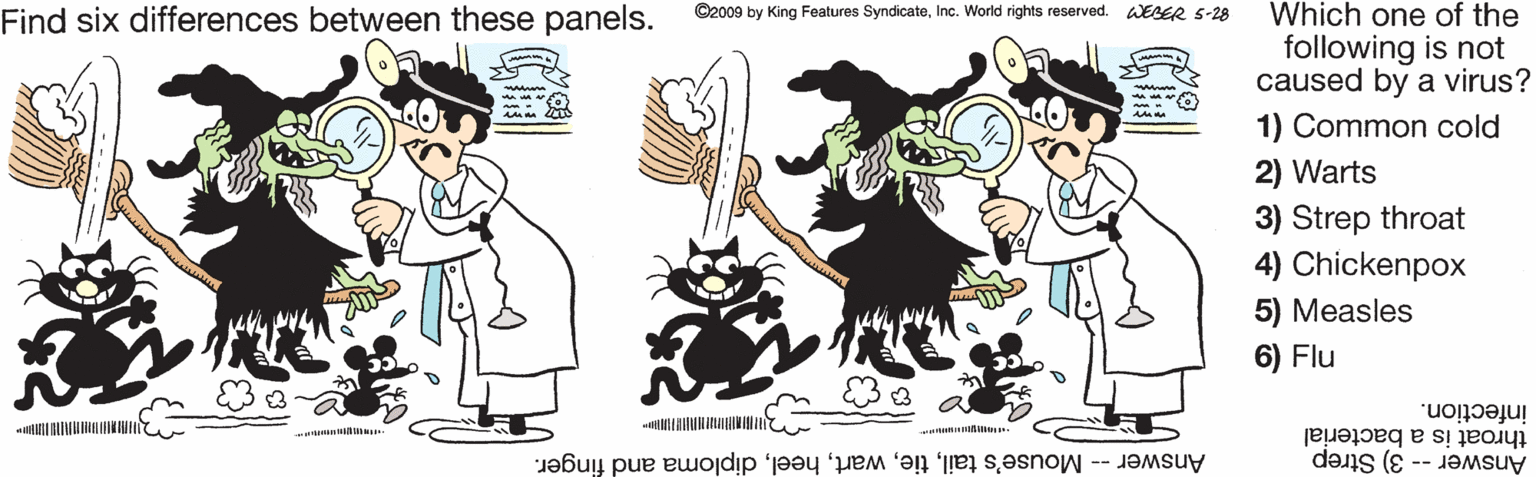 Fiction OCR: Which one of the following is not caused by a virus? 1) Common cold Find six differences between these panels. ©2009 by King Features SyndicateInc. World rights reserved. WEBER S-28 2) Warts 3) Strep throat 4) Chickenpox 5) Measles 6) Flu infection. throat is a bacterial Answer -- 3) Strep Answer -- Mouse's taildiploma and finger. Which one of the following is not caused by a virus? 1) Common cold Find six differences between these panels. ©2009 by King Features SyndicateInc. World rights reserved. WEBER S-28 2) Warts 3) Strep throat 4) Chickenpox 5) Measles 6) Flu infection. throat is a bacterial Answer -- 3) Strep Answer -- Mouse's taildiploma and finger.