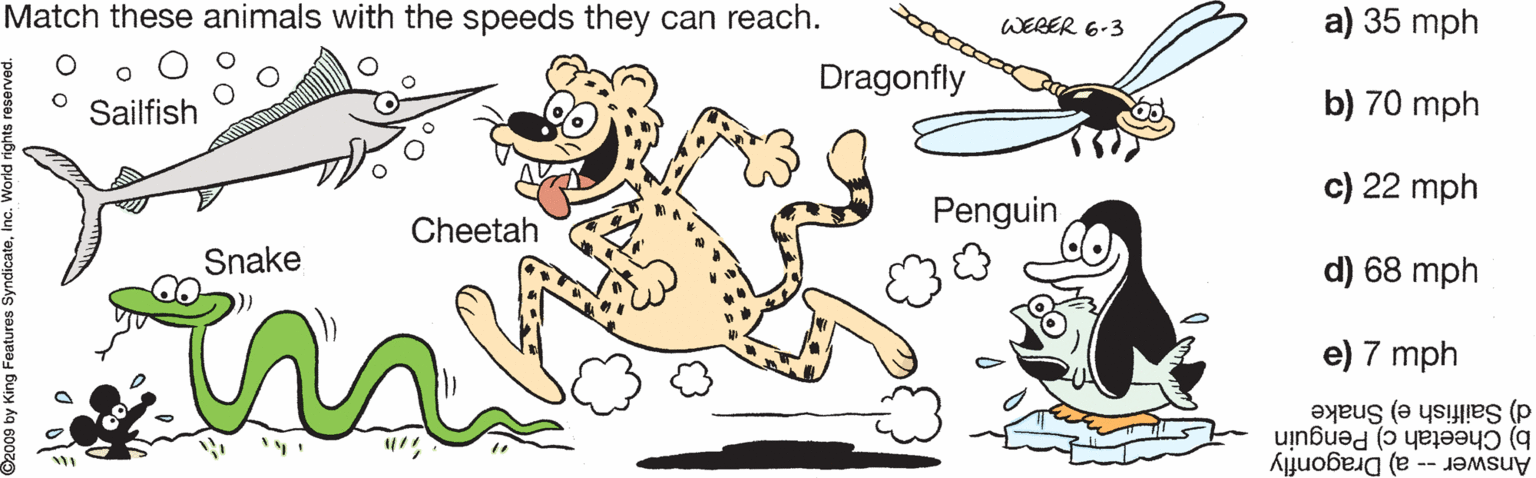 Clip art OCR: Match these animals with the speeds they can reach. a) 35 mph WEBER 6-3 Dragonfly Sailfish b) 70 mph c) 22 mph Penguin Cheetah Snake d) 68 mph e) 7 mph d) Sailfish e) Snake b) Cheetah c) Penguin Answer -- a) Dragonfly g Features S Match these animals with the speeds they can reach. a) 35 mph WEBER 6-3 Dragonfly Sailfish b) 70 mph c) 22 mph Penguin Cheetah Snake d) 68 mph e) 7 mph d) Sailfish e) Snake b) Cheetah c) Penguin Answer -- a) Dragonfly g Features S