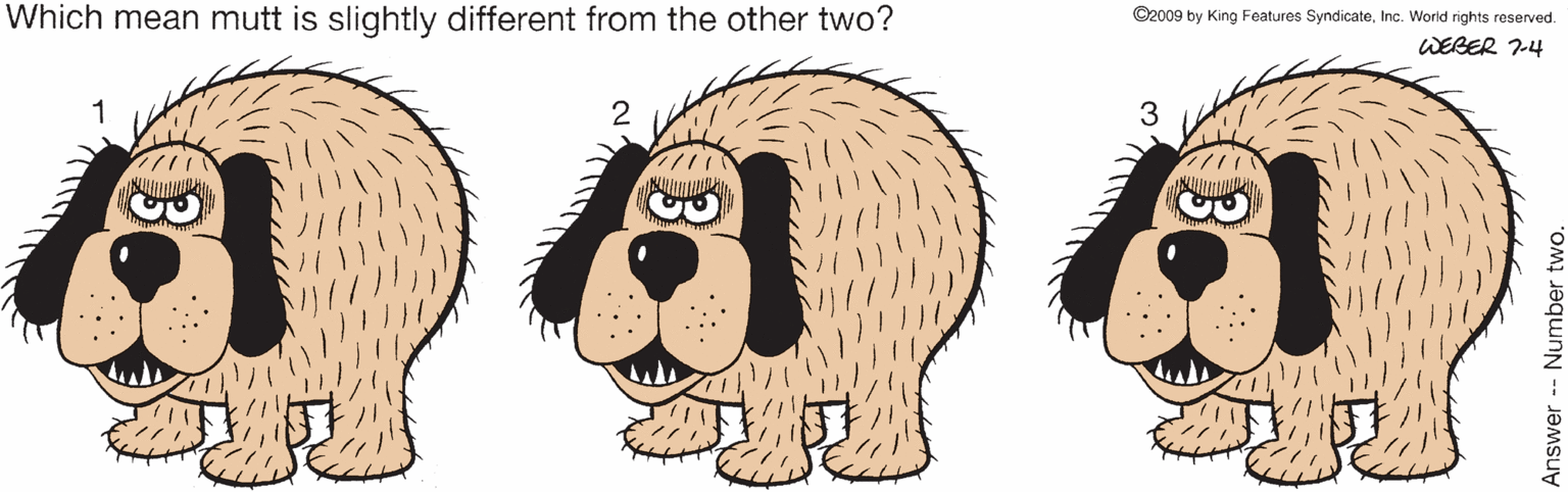 Painting OCR: Which mean mutt is slightly different from the other two? ©2009 by King Features SyndicateInc. World rights reserved. WEBER 7-4 3 Answer Number two. Which mean mutt is slightly different from the other two? ©2009 by King Features SyndicateInc. World rights reserved. WEBER 7-4 3 Answer Number two.