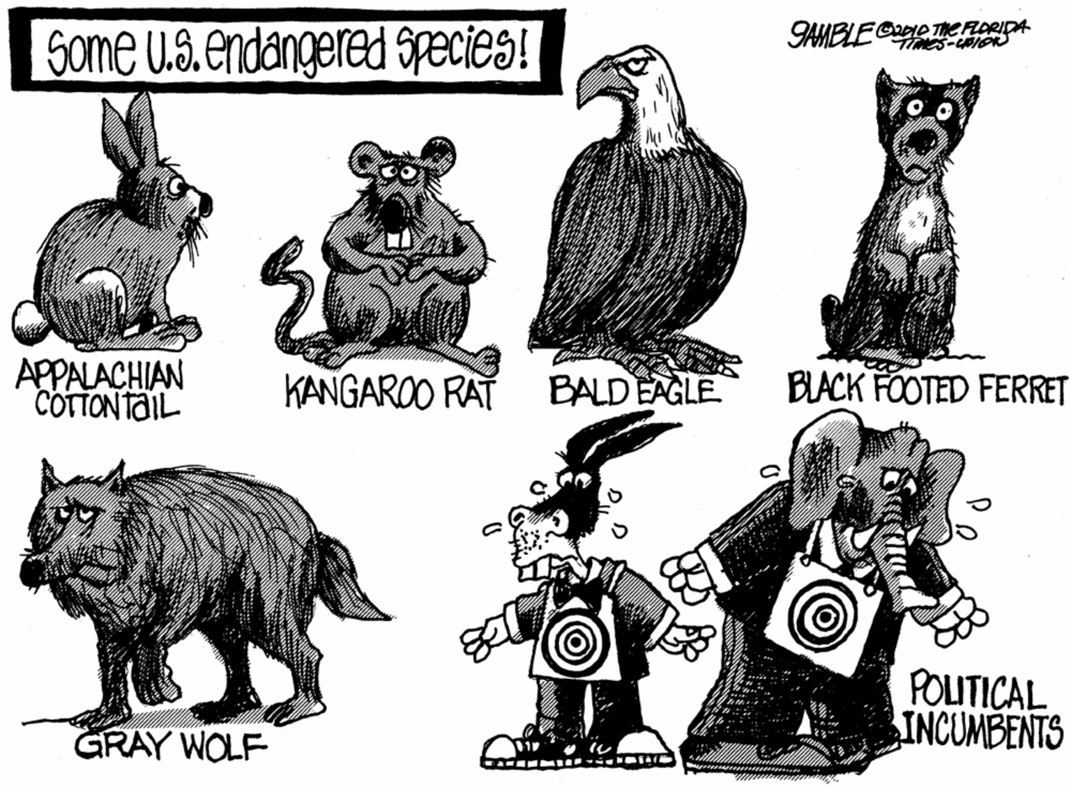 Pattern OCR: GAMBLE2ge TC FLORIDA Some u.S.endangered species! APPALACHIAN COTTONTAIL KANGAROO RAT BALD EAGLE BLACK FÖOTED FERRET POLITICAL INCUMBENTS GRAY WOLF GAMBLE2ge TC FLORIDA Some u.S.endangered species! APPALACHIAN COTTONTAIL KANGAROO RAT BALD EAGLE BLACK FÖOTED FERRET POLITICAL INCUMBENTS GRAY WOLF