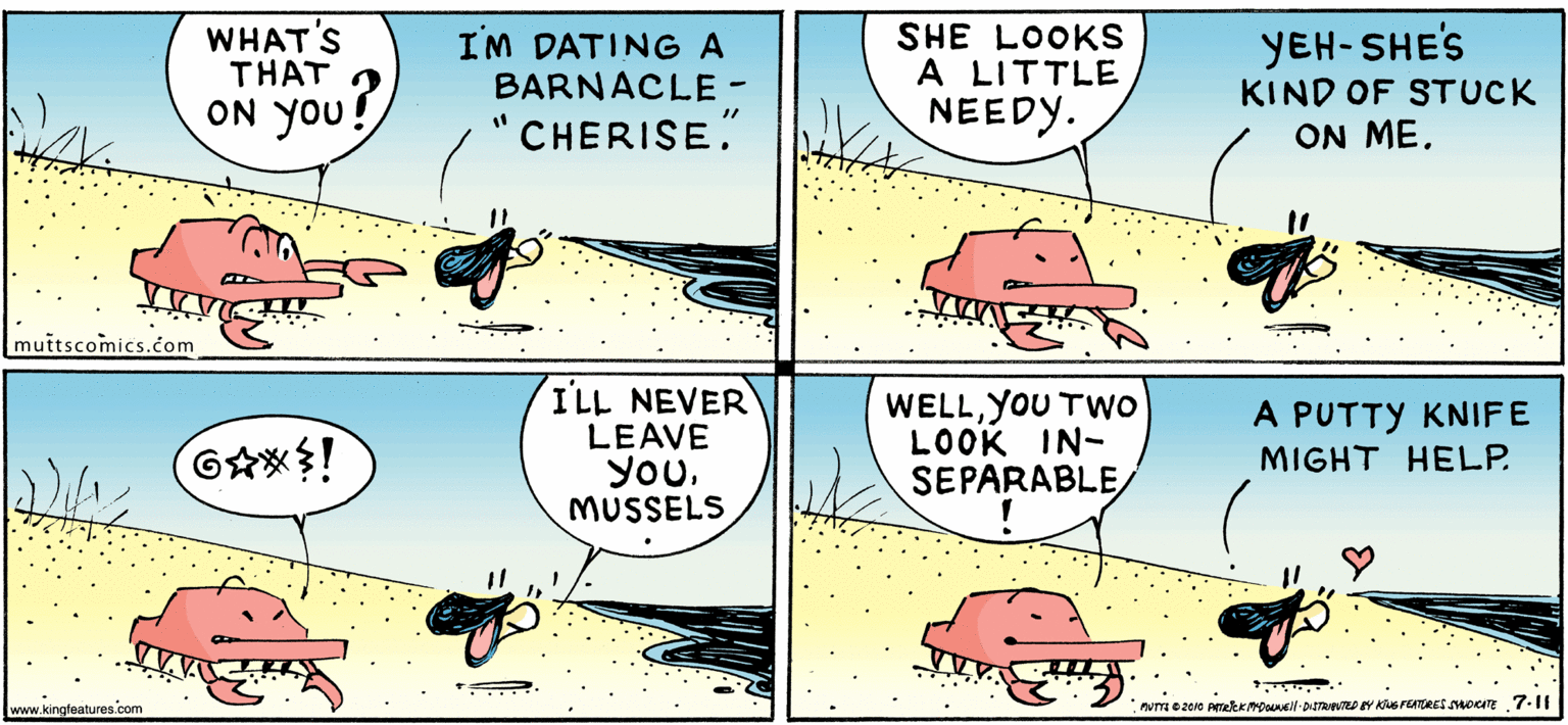 Rectangle OCR: WHAT'S THAT IM DATINGA BARNACLE- "CHERISE." SHE LOOKS A LITTLE NEEDY. YEH-SHE'S KIND OF STUCK ON ME. ON you! muitscomics.com ILL NEVER LEAVE you. MUSSELS WELLYOU TWo LOOK IN- SEPARABLE A PUTTY KNIFE MIGHT HELP. www.kingfeatures.com WHAT'S THAT IM DATINGA BARNACLE- "CHERISE." SHE LOOKS A LITTLE NEEDY. YEH-SHE'S KIND OF STUCK ON ME. ON you! muitscomics.com ILL NEVER LEAVE you. MUSSELS WELLYOU TWo LOOK IN- SEPARABLE A PUTTY KNIFE MIGHT HELP. www.kingfeatures.com