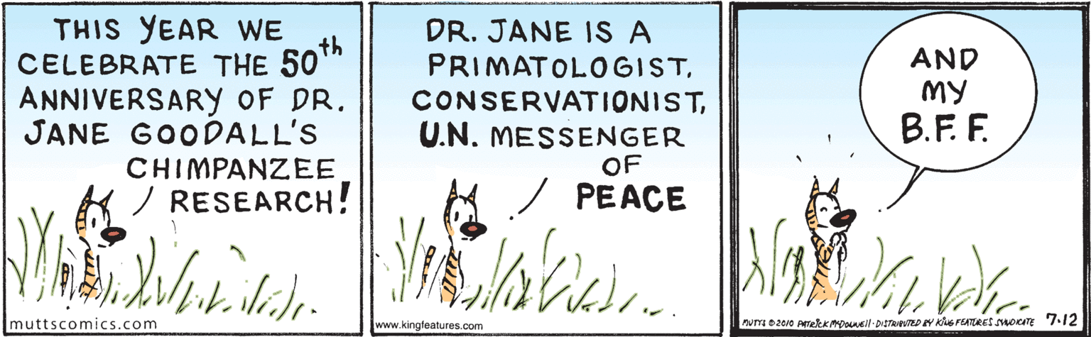 Advertising OCR: THIS YEAR WE th CELEBRATE THE 50" ANNIVERSARY OF DR. JANE GOODALL'S DR. JANE IS A PRIMATOLOGISTU.N. MESSENGER OF PEACE AND MY B.F. F. CHIMPANZEE / RESEARCH! muttscomics.com www.kingteatures.com AUTT D2010 ATeeKMpoNEll DvSTRIUTED EY Kus FEATURES SOKATE 7.12 THIS YEAR WE th CELEBRATE THE 50" ANNIVERSARY OF DR. JANE GOODALL'S DR. JANE IS A PRIMATOLOGISTU.N. MESSENGER OF PEACE AND MY B.F. F. CHIMPANZEE / RESEARCH! muttscomics.com www.kingteatures.com AUTT D2010 ATeeKMpoNEll DvSTRIUTED EY Kus FEATURES SOKATE 7.12