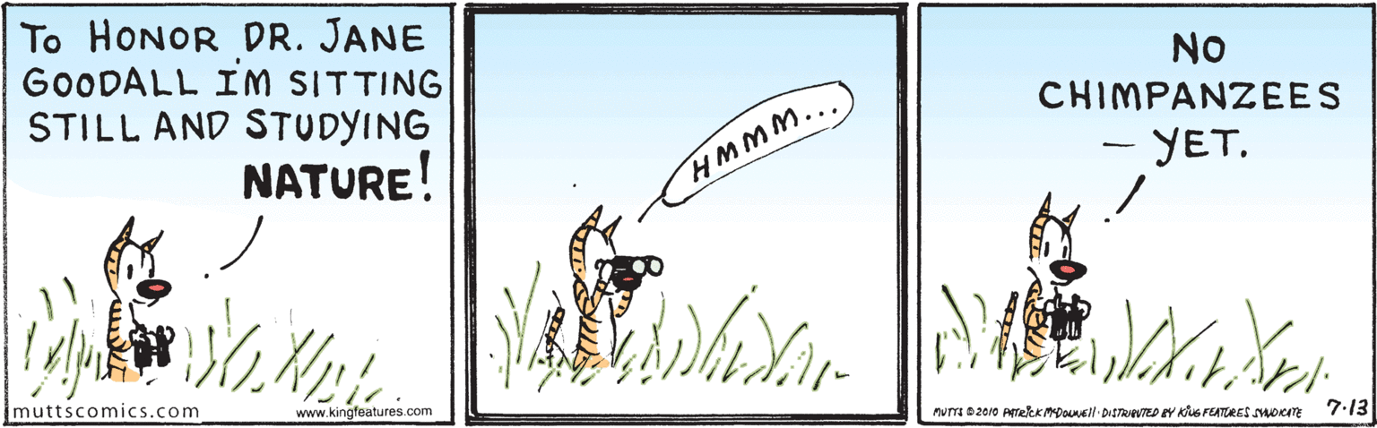 Terrestrial plant OCR: To HONOR DR. JANE GOODALL IM SITTING STILL AND STUDYING NATURE! NO CHIMPANZEES HMMM... - YET. muttscomics.com www.kingfeatures.com nua D2010 PTekkMDounell DISTRAVTED EY KivG FEATURES SOITE 7.13 To HONOR DR. JANE GOODALL IM SITTING STILL AND STUDYING NATURE! NO CHIMPANZEES HMMM... - YET. muttscomics.com www.kingfeatures.com nua D2010 PTekkMDounell DISTRAVTED EY KivG FEATURES SOITE 7.13