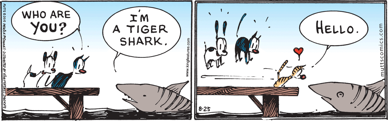 Fish OCR: WHO ARE IM A TIGER SHARK. You? HELLO. 8-25 muttscomics.com WHO ARE IM A TIGER SHARK. You? HELLO. 8-25 muttscomics.com