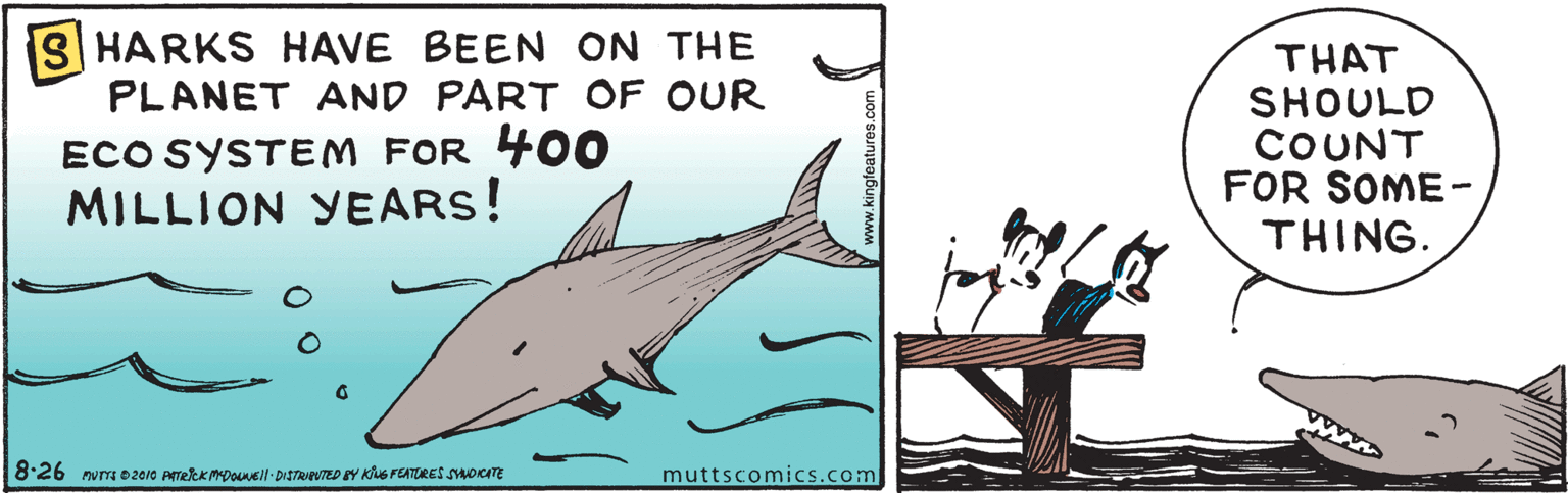 Common dolphins OCR: SHARKS HAVE BEEN ON THE PLANET AND PART OF OUR ECO SYSTEM FOR 400 MILLION YEARS! THAT SHOULD COUNT FOR SOME - THING. 8:26 nvm e2010 Perekk MDOel- DISTRIPUTED EY KiS FEATURES SORITE muttscomics.com SHARKS HAVE BEEN ON THE PLANET AND PART OF OUR ECO SYSTEM FOR 400 MILLION YEARS! THAT SHOULD COUNT FOR SOME - THING. 8:26 nvm e2010 Perekk MDOel- DISTRIPUTED EY KiS FEATURES SORITE muttscomics.com