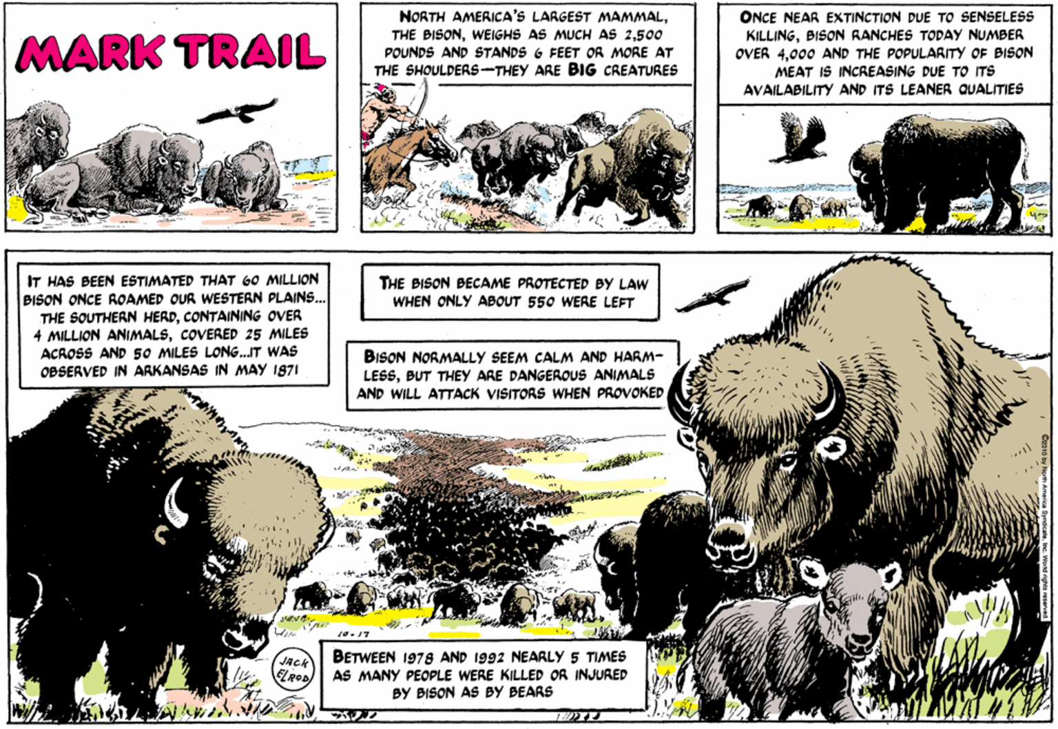 Sharing OCR: MARK TRAIL NORTH AMERICA'S LARGEST MAMMAL500 POUNDS AND STANDS 6 FEET OR MORE AT THE SHOULDERS-THEY ARE BIG CREATURES ONCE NEAR EXTINCTION DUE TO SENSELESS KILLINGBISON RANCHES TODAY NUMBER OVER 4000 AND THE POPULARITY OF BISON MEAT IS INCREASING DUE TO ITS AVAILABILITY AND ITS LEANER QUALITES IT HAS BEEN ESTIMATED THAT 60 MILLION BISON ONCE ROAMED OUR WESTERN PLAINS.. THE SOUTHERN HERDCONTAINING OVER 4 MILLION ANIMALSCOVERED 25 MILES ACROSS AND 50 MILES LONG.IT WAS OBSERVED IN ARKANSAS IN MAY 1871 THE BISON BECAME PROTECTED BY LAW WHEN ONLY ABOUT 550 WERE LEFT BISON NORMALLY SEEM CALM AND HARM- LESSBUT THEY ARE DANGEROUS ANIMALS AND WILL ATTACK VISITOAS WHEN PROVOKED 10.17 JACK BETWEEN 1978 AND 1992 NEARLY 5 TIMES ELROD AS MANY PEOPLE WERE KILLED OR INJURED BY BISON AS BY BEARS MARK TRAIL NORTH AMERICA'S LARGEST MAMMALTHE BISONWEIGHS AS MUCH AS 2500 POUNDS AND STANDS 6 FEET OR MORE AT THE SHOULDERS-THEY ARE BIG CREATURES ONCE NEAR EXTINCTION DUE TO SENSELESS KILLINGBISON RANCHES TODAY NUMBER OVER 4000 AND THE POPULARITY OF BISON MEAT IS INCREASING DUE TO ITS AVAILABILITY AND ITS LEANER QUALITES IT HAS BEEN ESTIMATED THAT 60 MILLION BISON ONCE ROAMED OUR WESTERN PLAINS.. THE SOUTHERN HERDCONTAINING OVER 4 MILLION ANIMALSCOVERED 25 MILES ACROSS AND 50 MILES LONG.IT WAS OBSERVED IN ARKANSAS IN MAY 1871 THE BISON BECAME PROTECTED BY LAW WHEN ONLY ABOUT 550 WERE LEFT BISON NORMALLY SEEM CALM AND HARM- LESSBUT THEY ARE DANGEROUS ANIMALS AND WILL ATTACK VISITOAS WHEN PROVOKED 10.17 JACK BETWEEN 1978 AND 1992 NEARLY 5 TIMES ELROD AS MANY PEOPLE WERE KILLED OR INJURED BY BISON AS BY BEARS